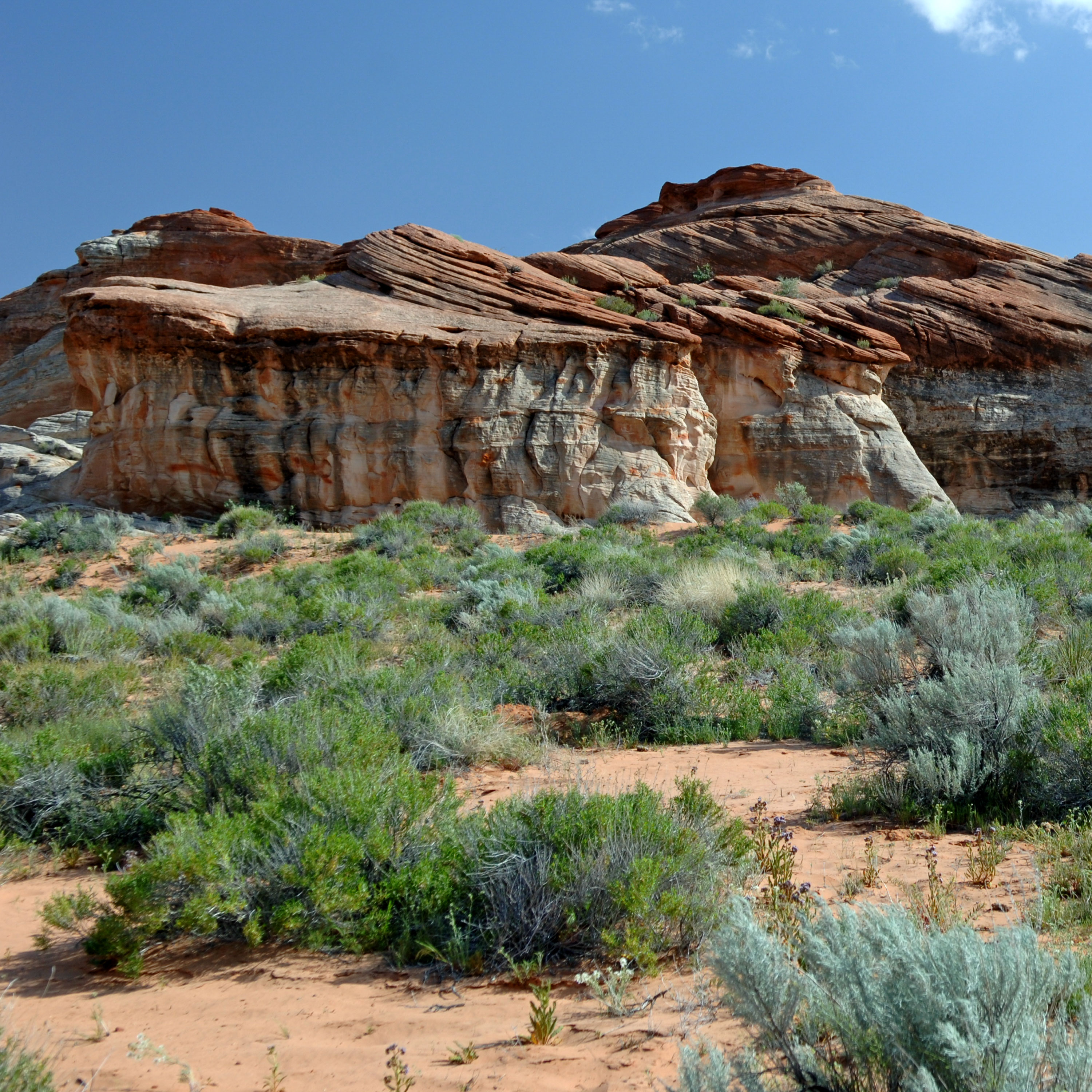 Refusing to Wait on God