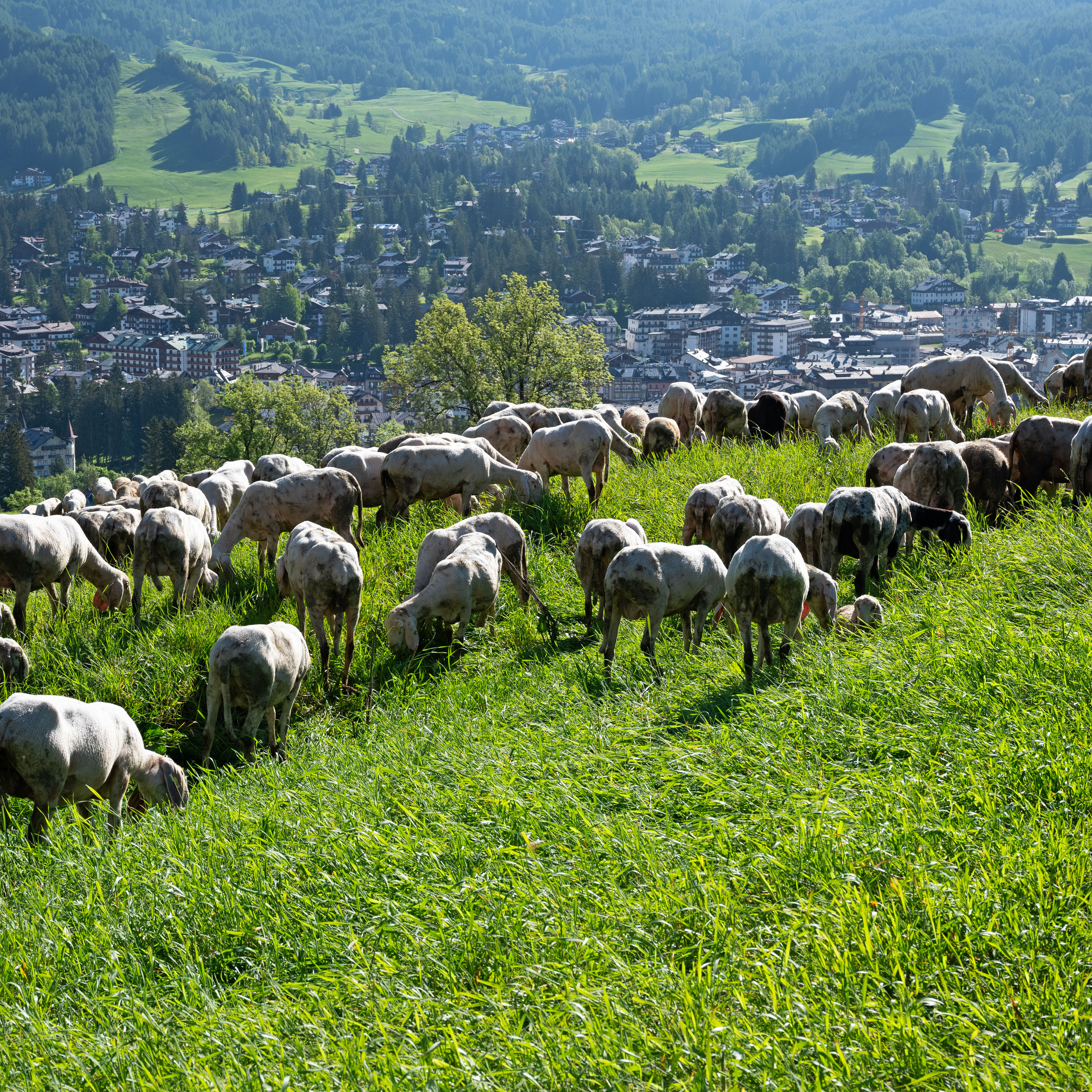 The Benefits of Wisdom