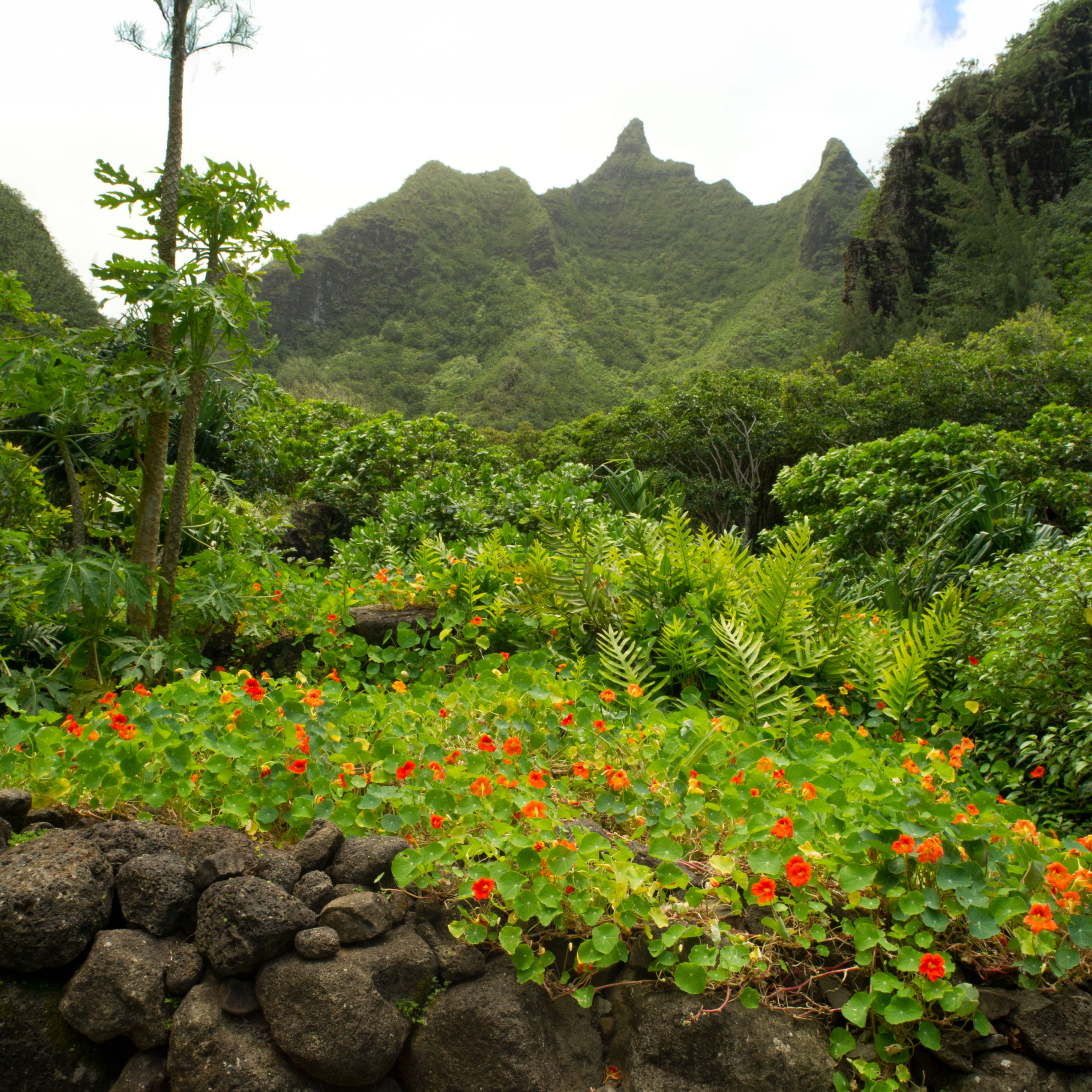 Help for Our Healing