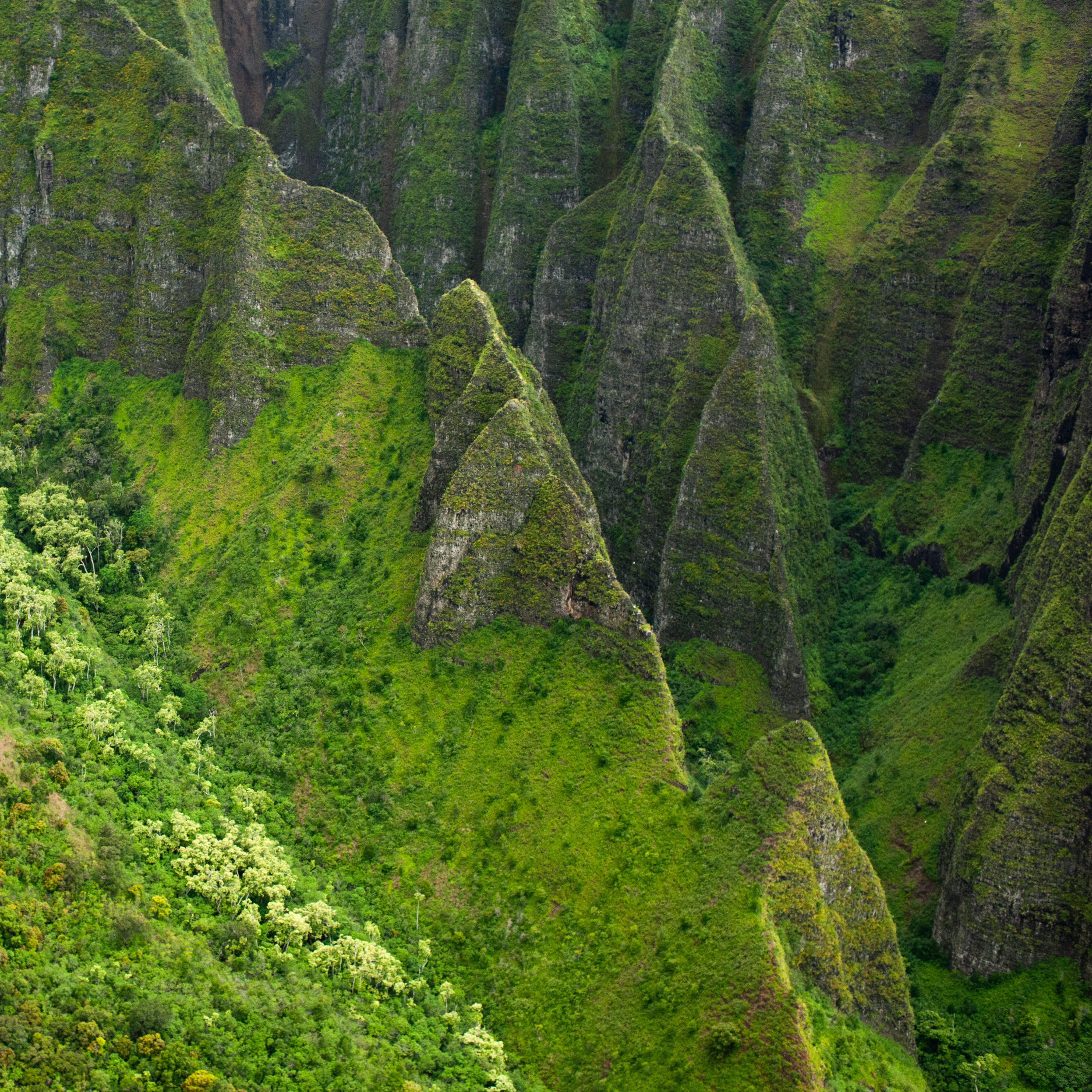 Walking With Jesus in a Storm