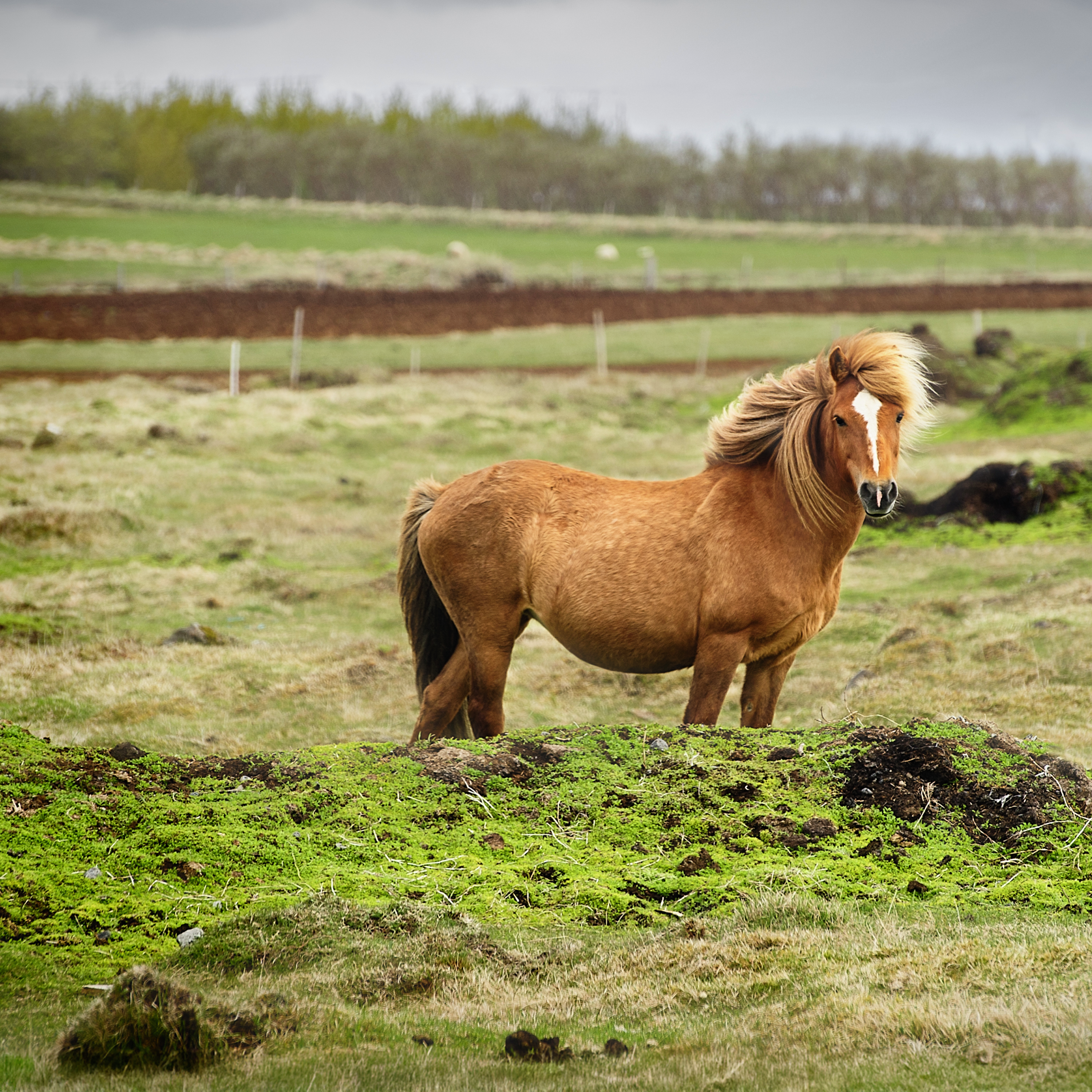 How to Deal With Unforgiveness