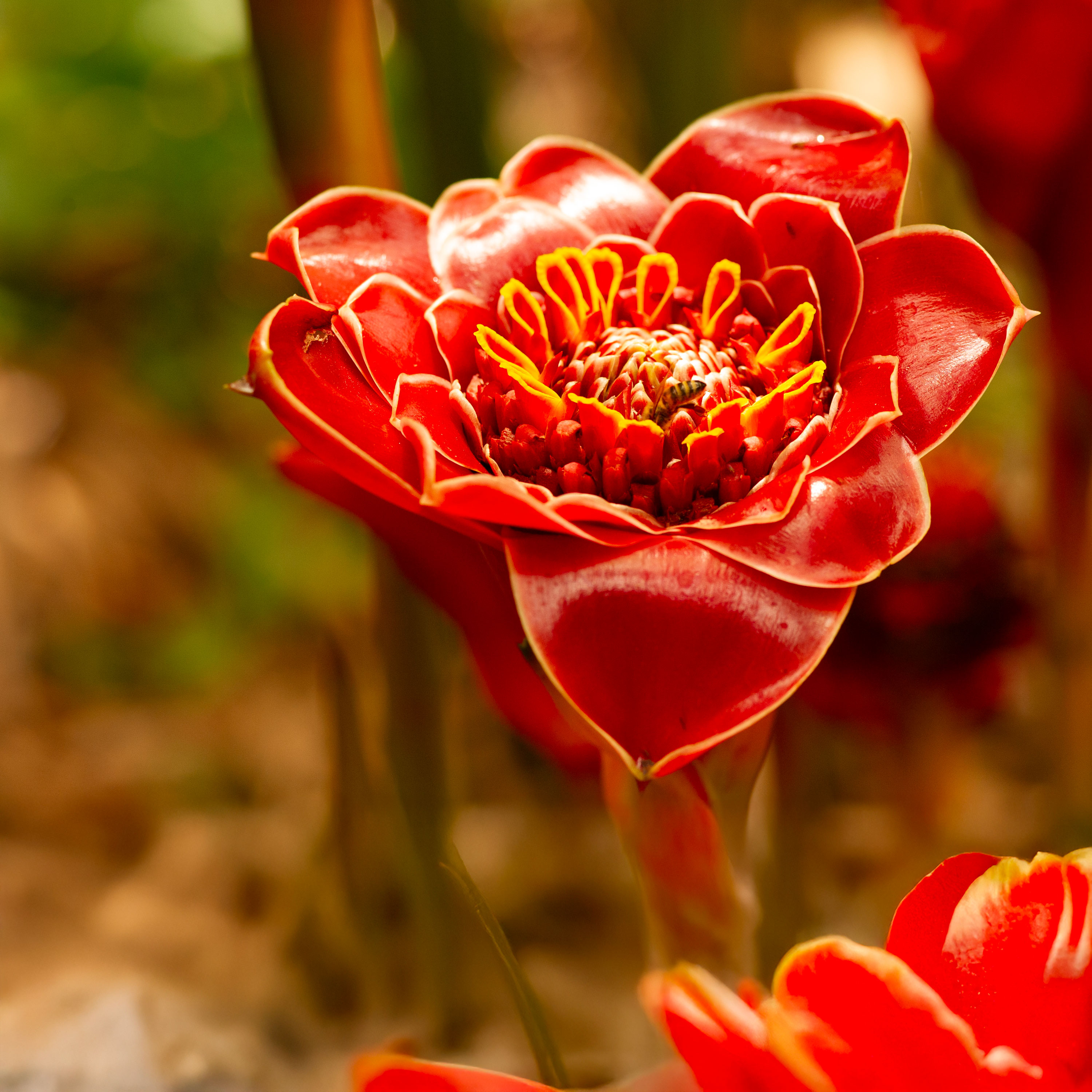 What Fasting Adds to Prayer