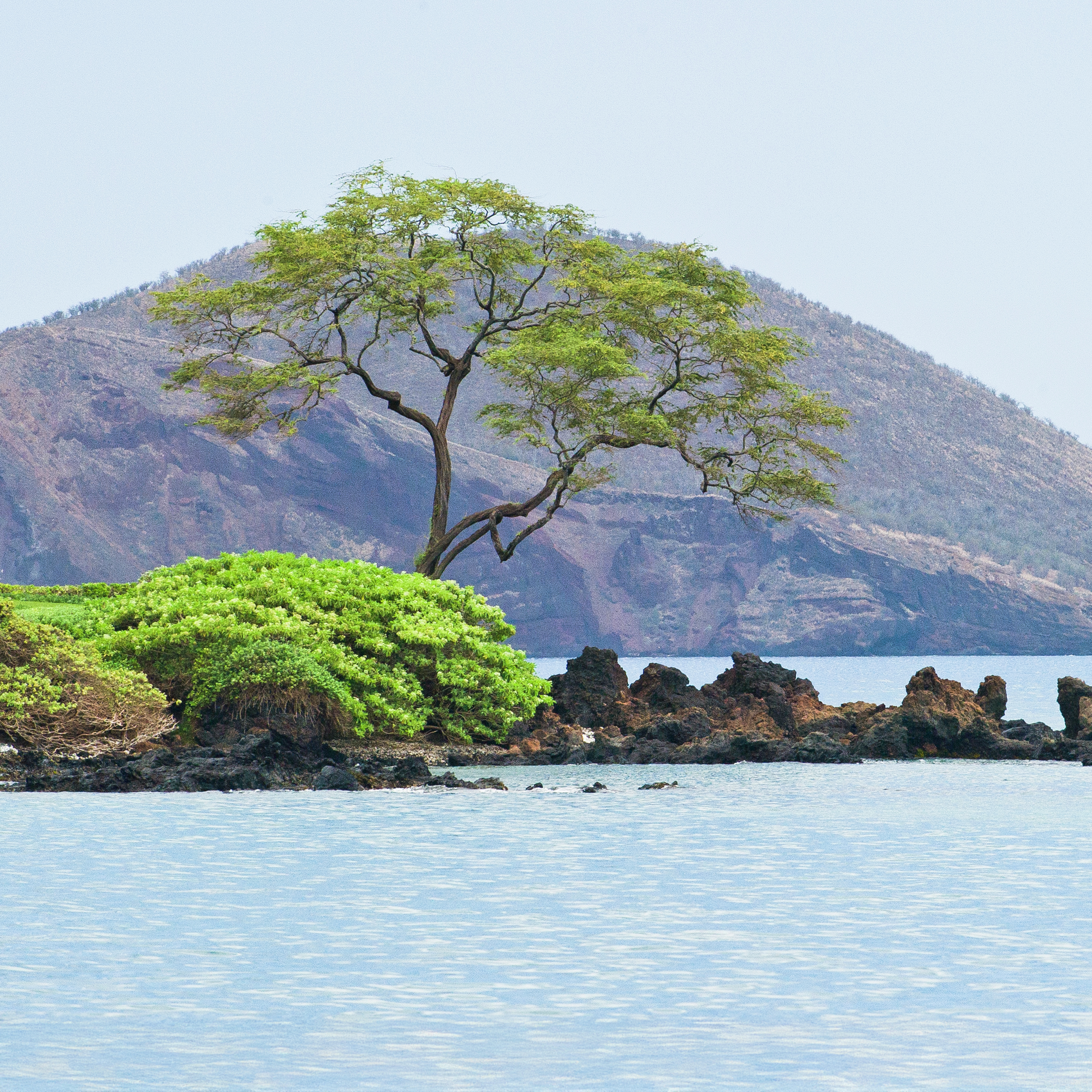 God's Call to Repentance