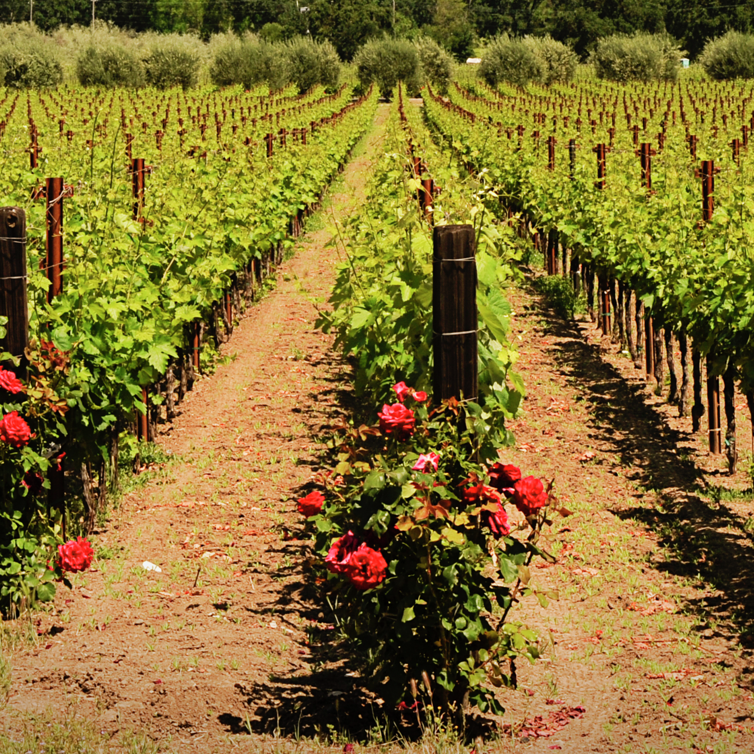 The Power of Persistence