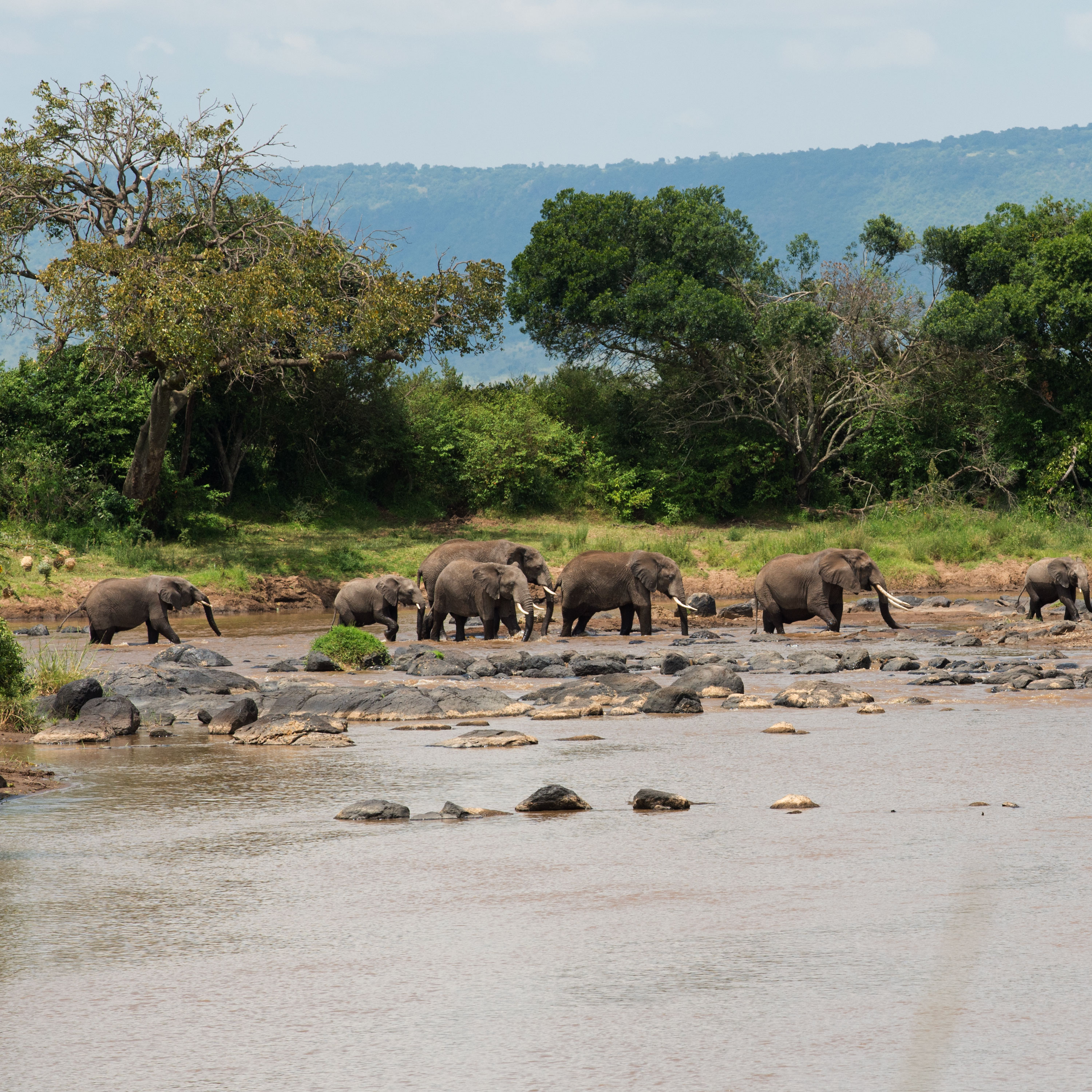 Recognize Your Vulnerability