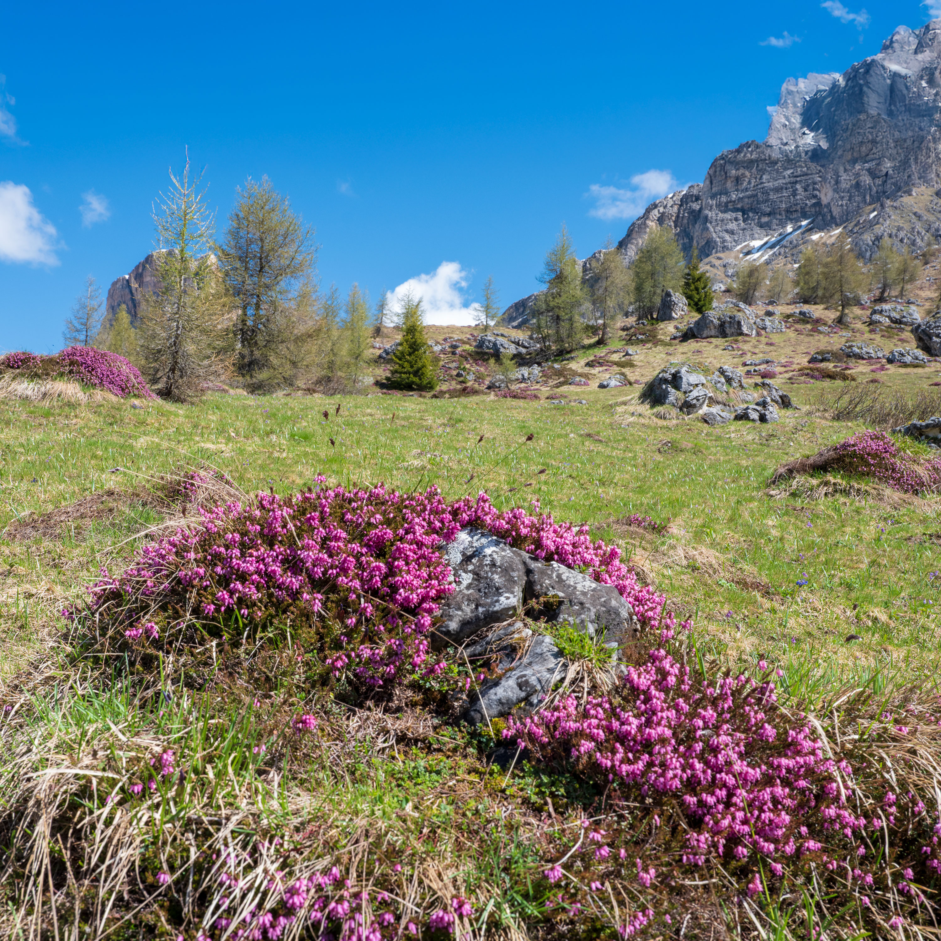 Learning in Troubled Waters