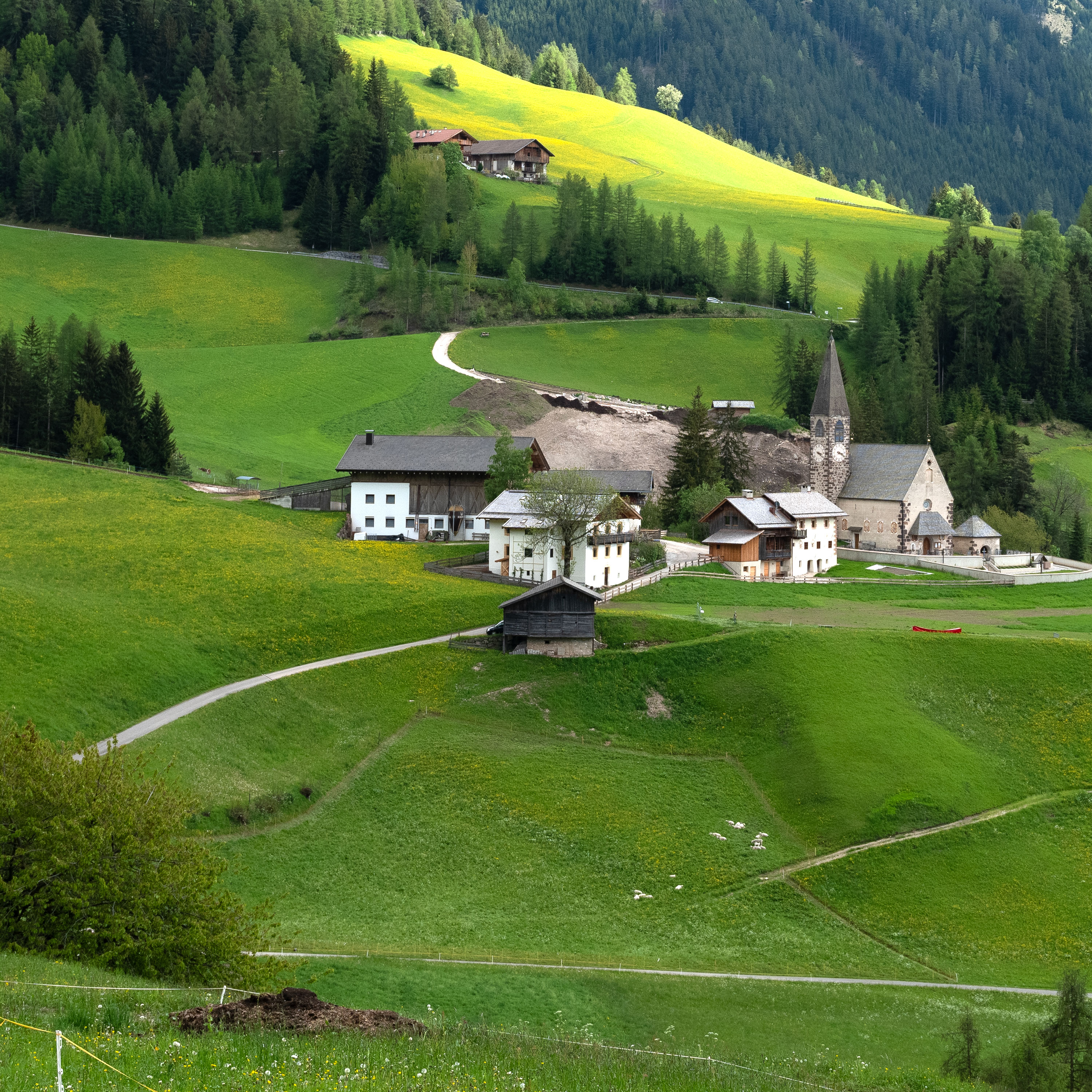 The Desires of Your Heart