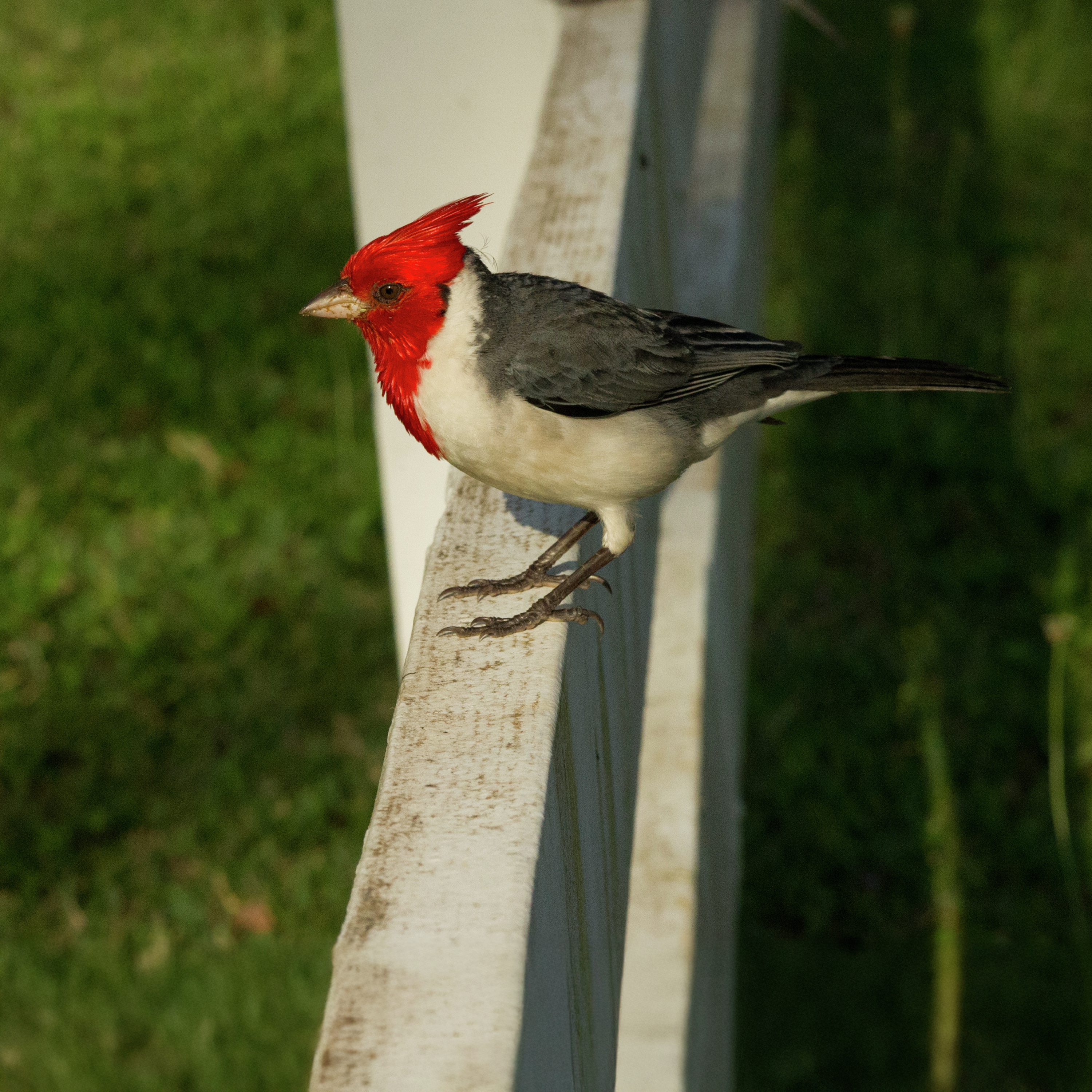 The Source of Our Hope