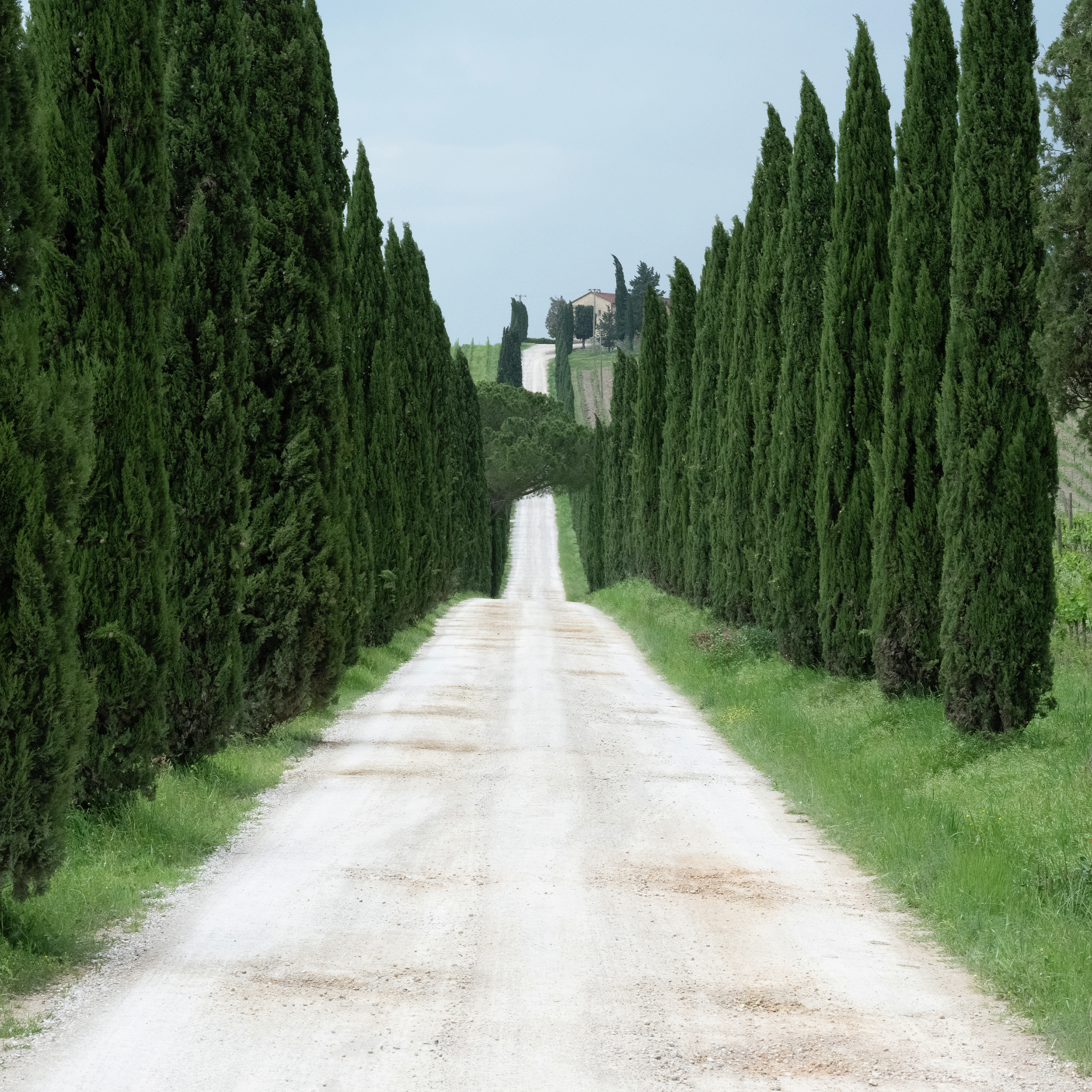 Characteristics of a Generous Spirit