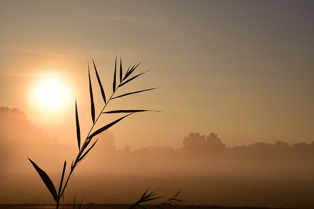 Daybreak 9-September-2026
