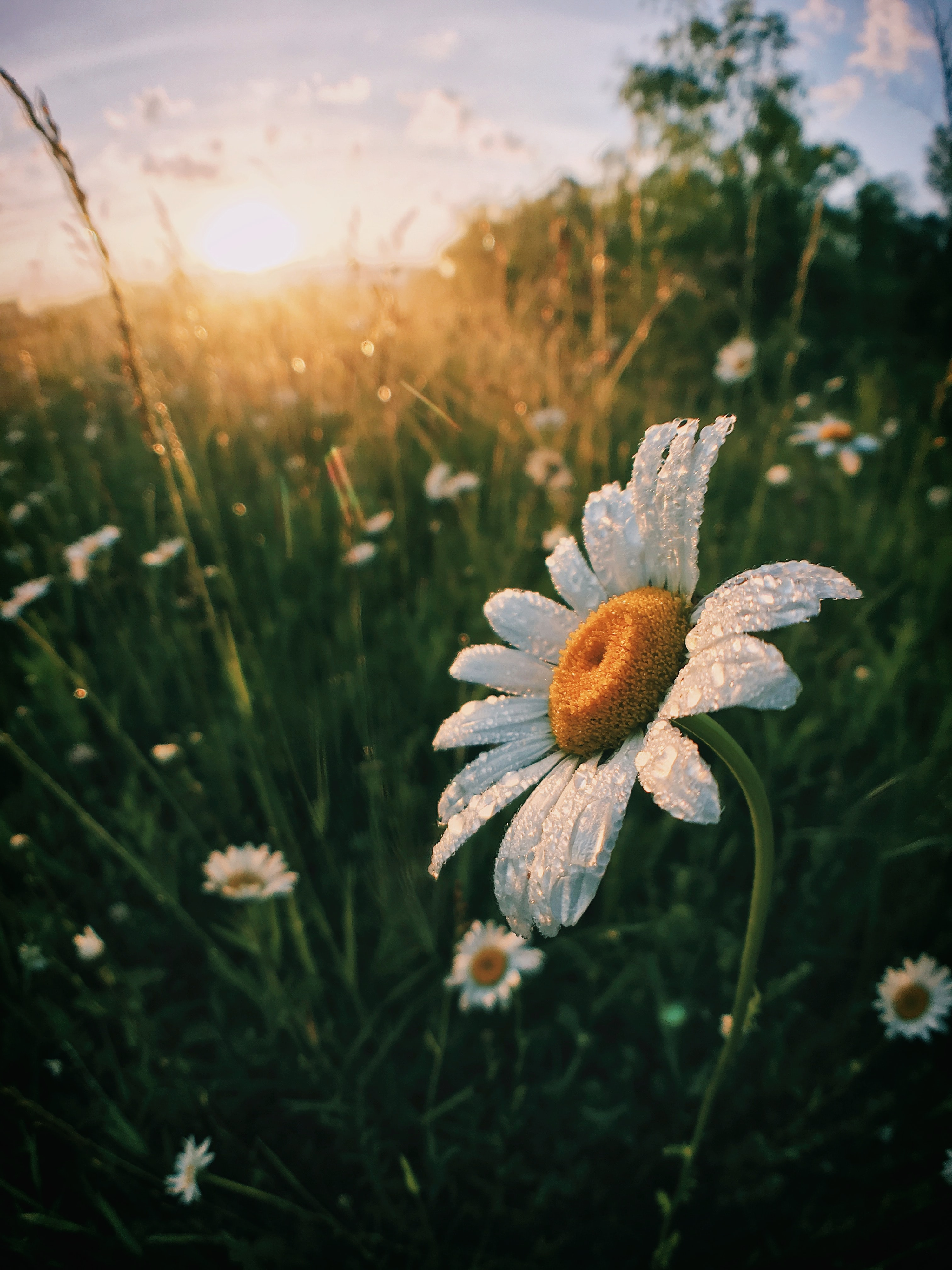 Morning Classics 16-August-2026