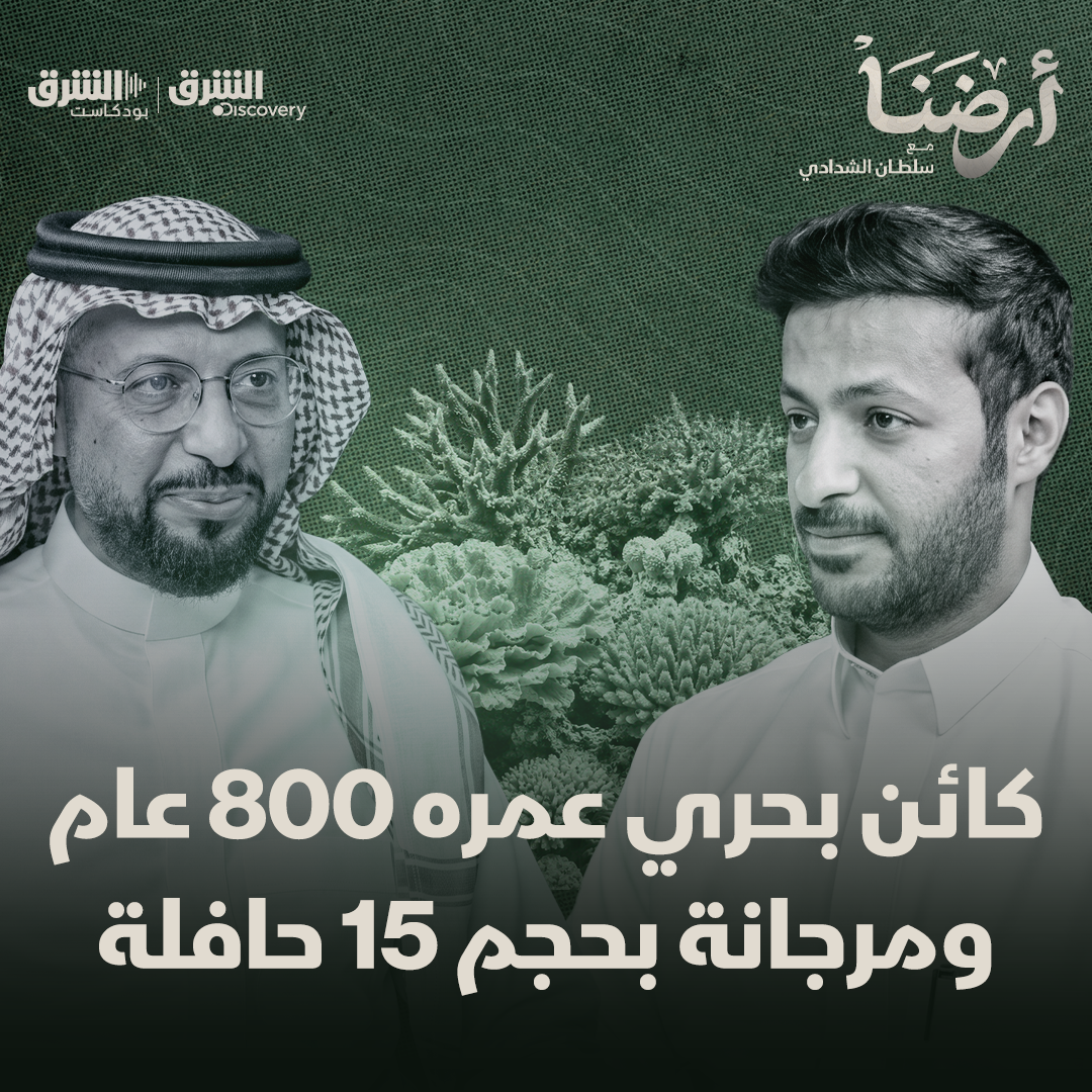 خفايا البحر الأحمر.. حضارات غارقة وأسرار عمرها 30 مليون سنة