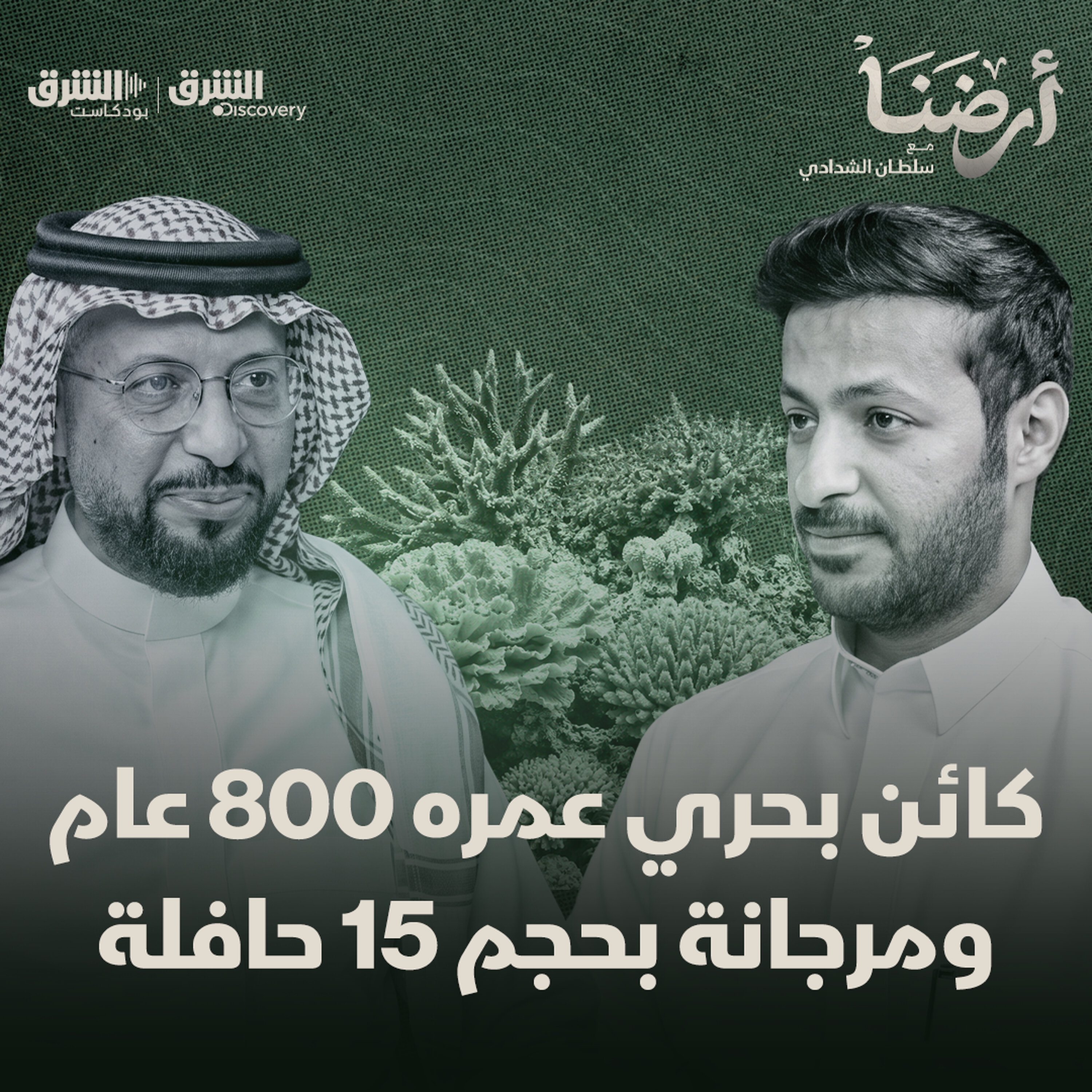 خفايا البحر الأحمر.. حضارات غارقة وأسرار عمرها 30 مليون سنة