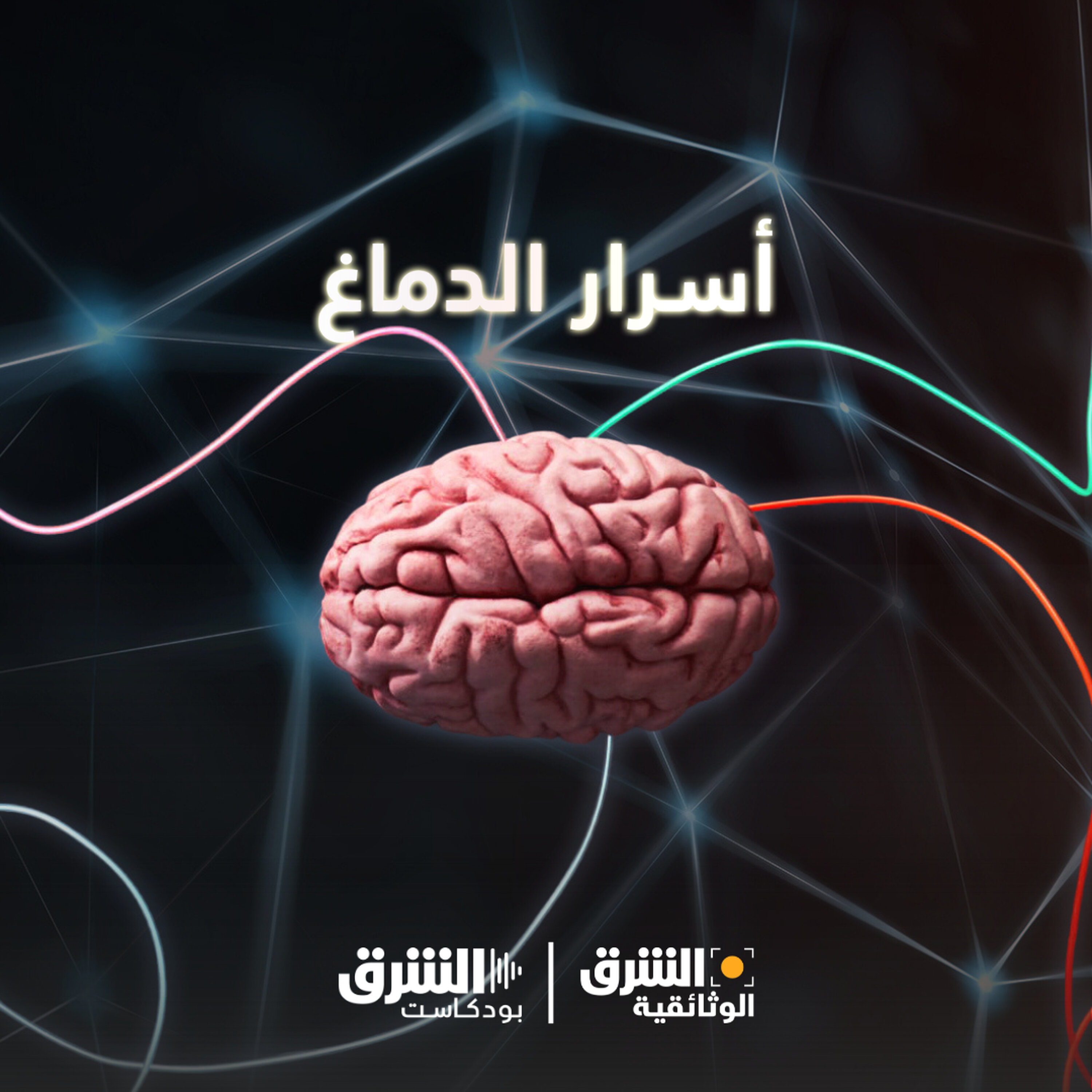 أسرار الدماغ | كيف نكذب؟ (إعادة)