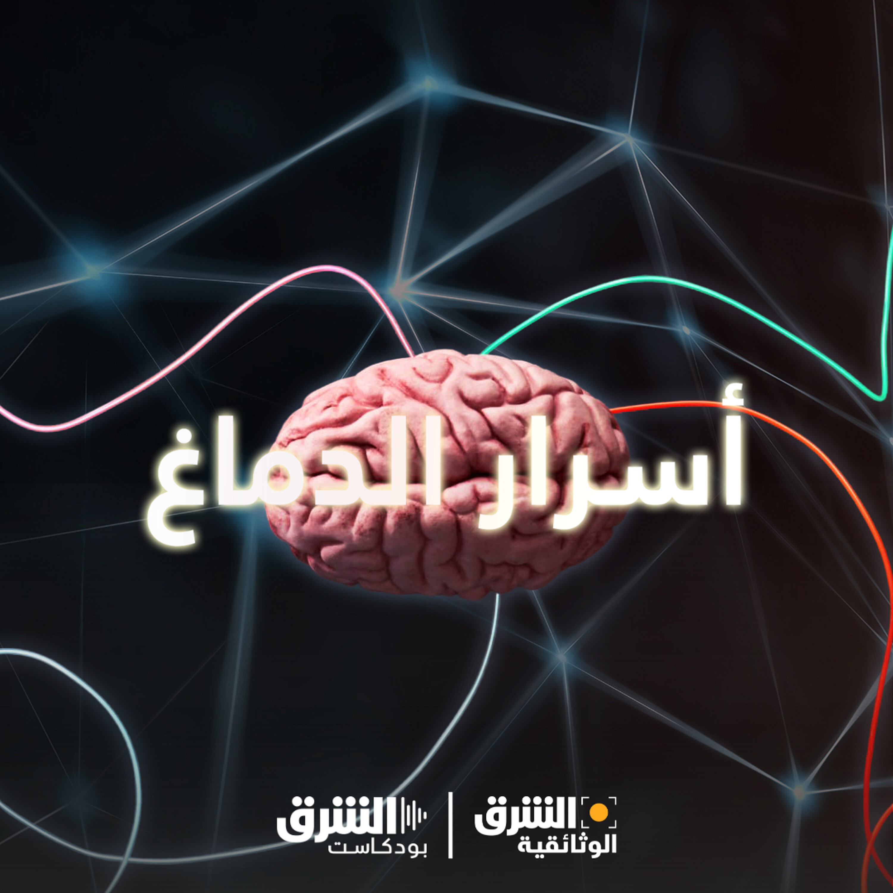 أسرار الدماغ | هل العبقري يُصنع؟ episode artwork