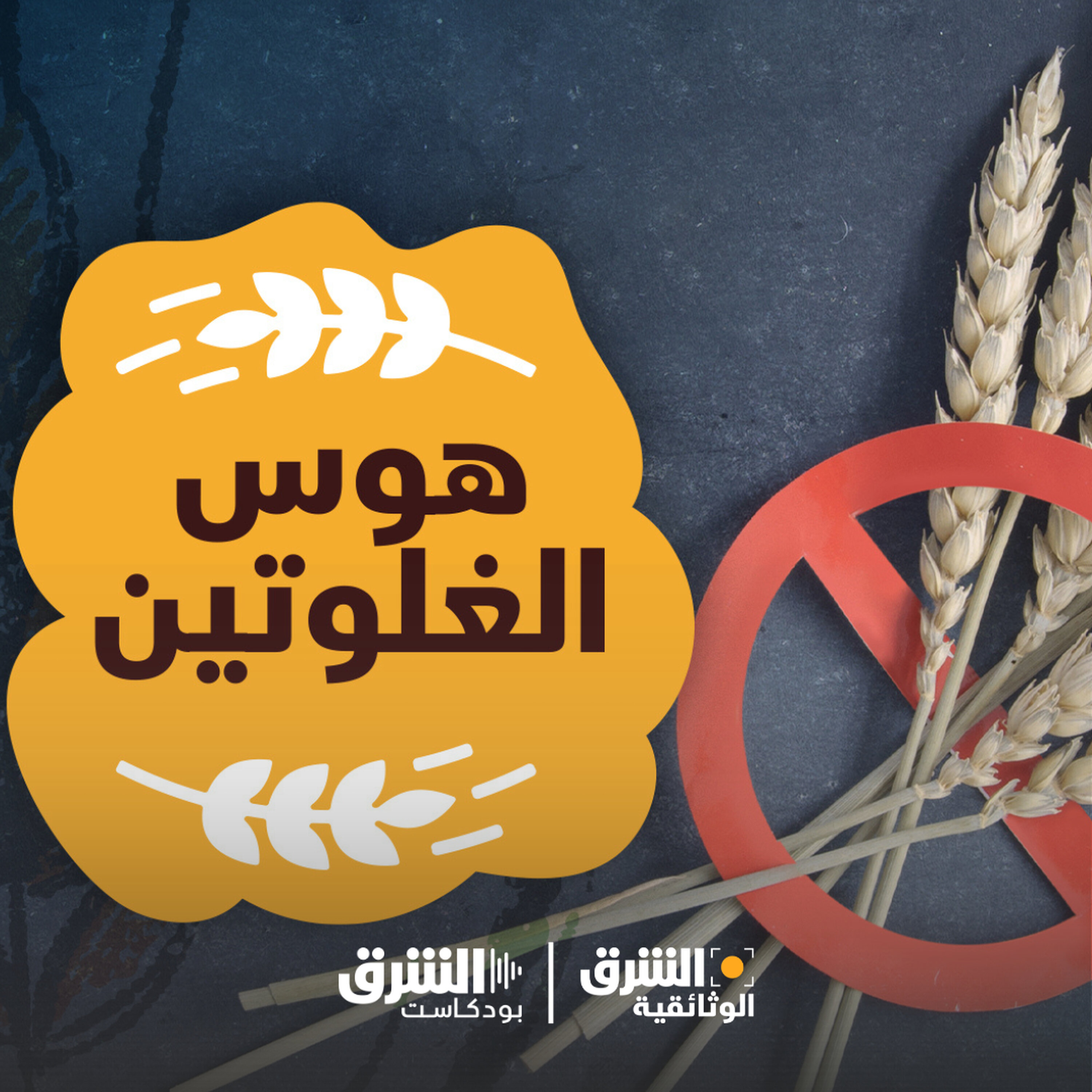 هوس الجلوتين (إعادة)