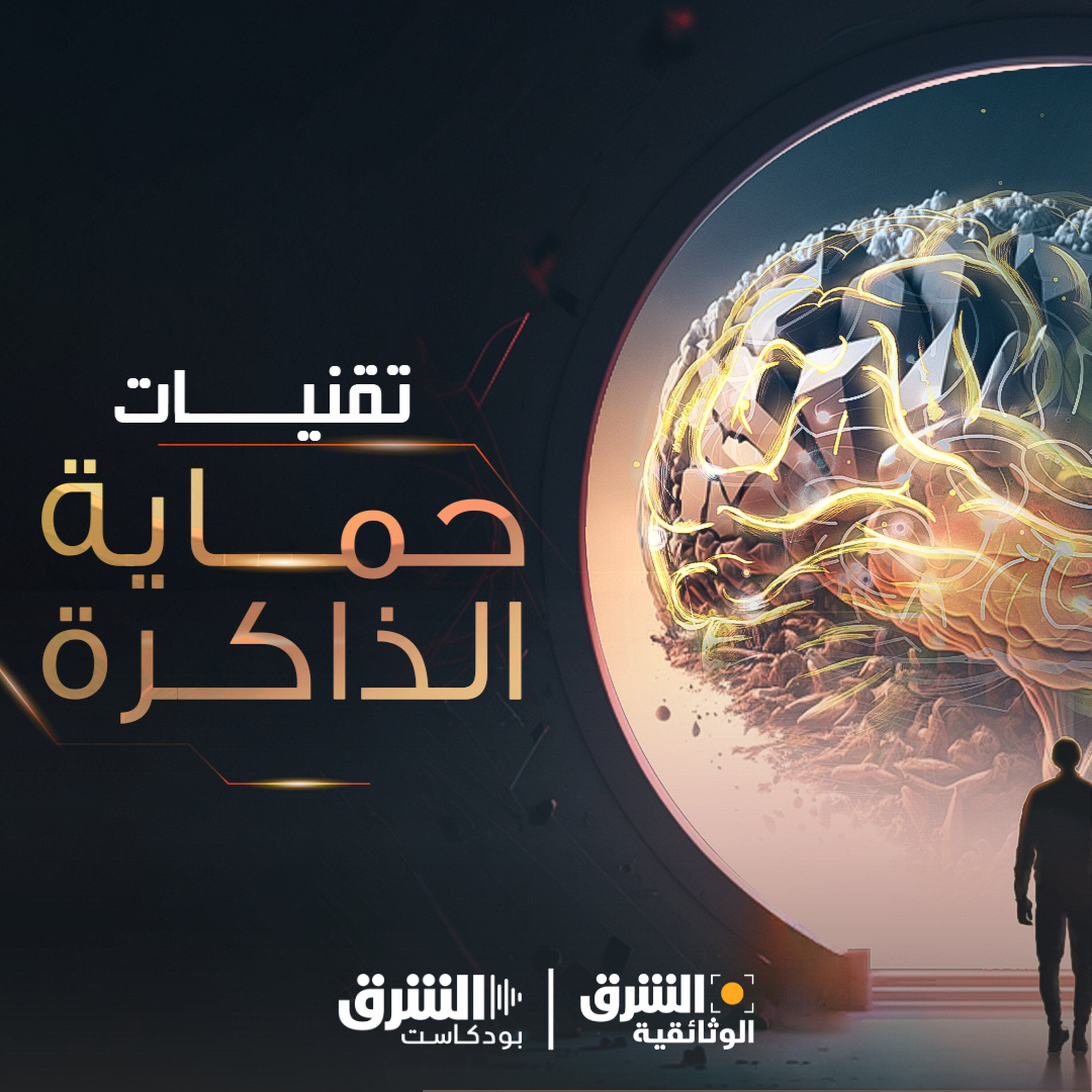 تقنيات حماية الذاكرة episode artwork