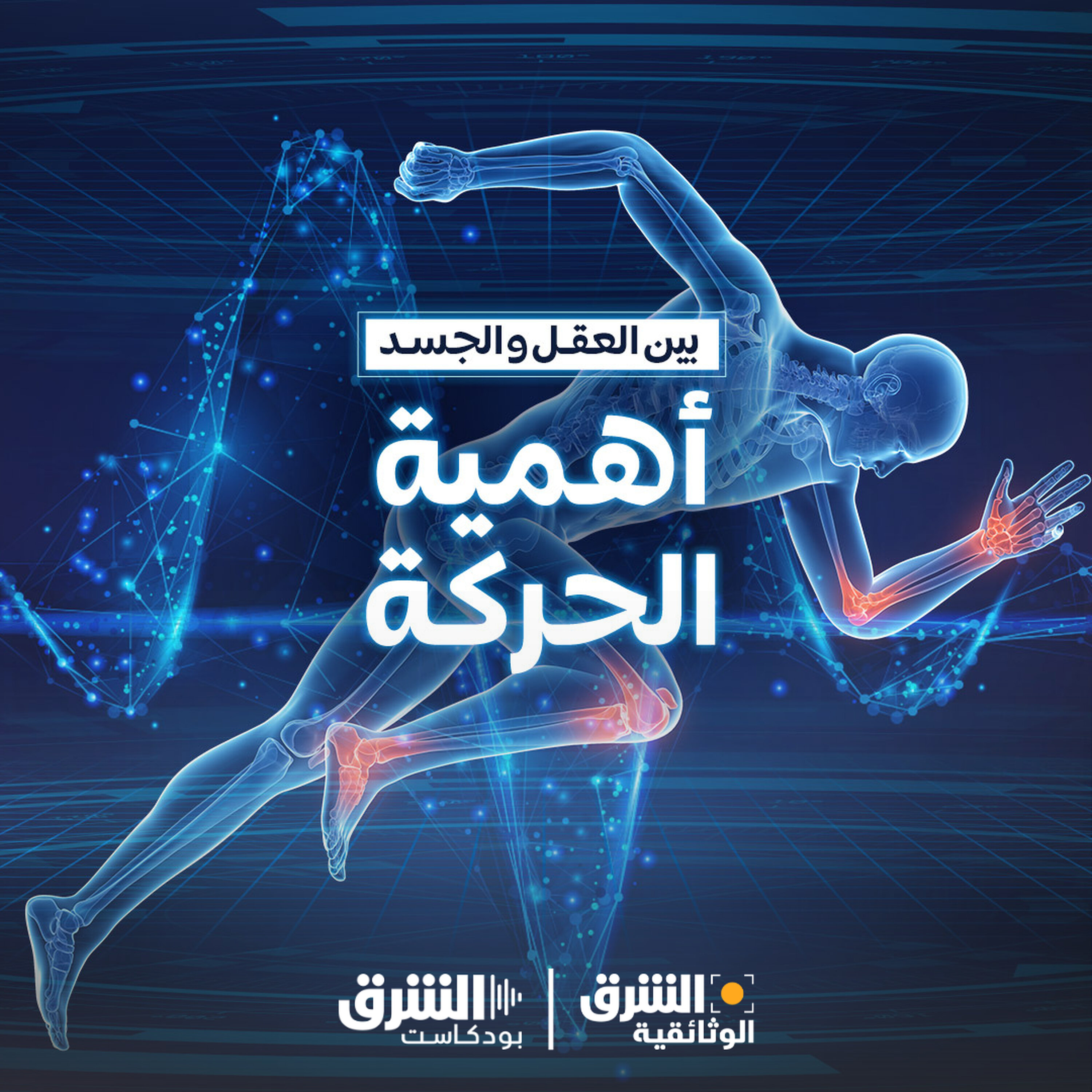 بين العقل والجسد | أهمية الحركة (إعادة)