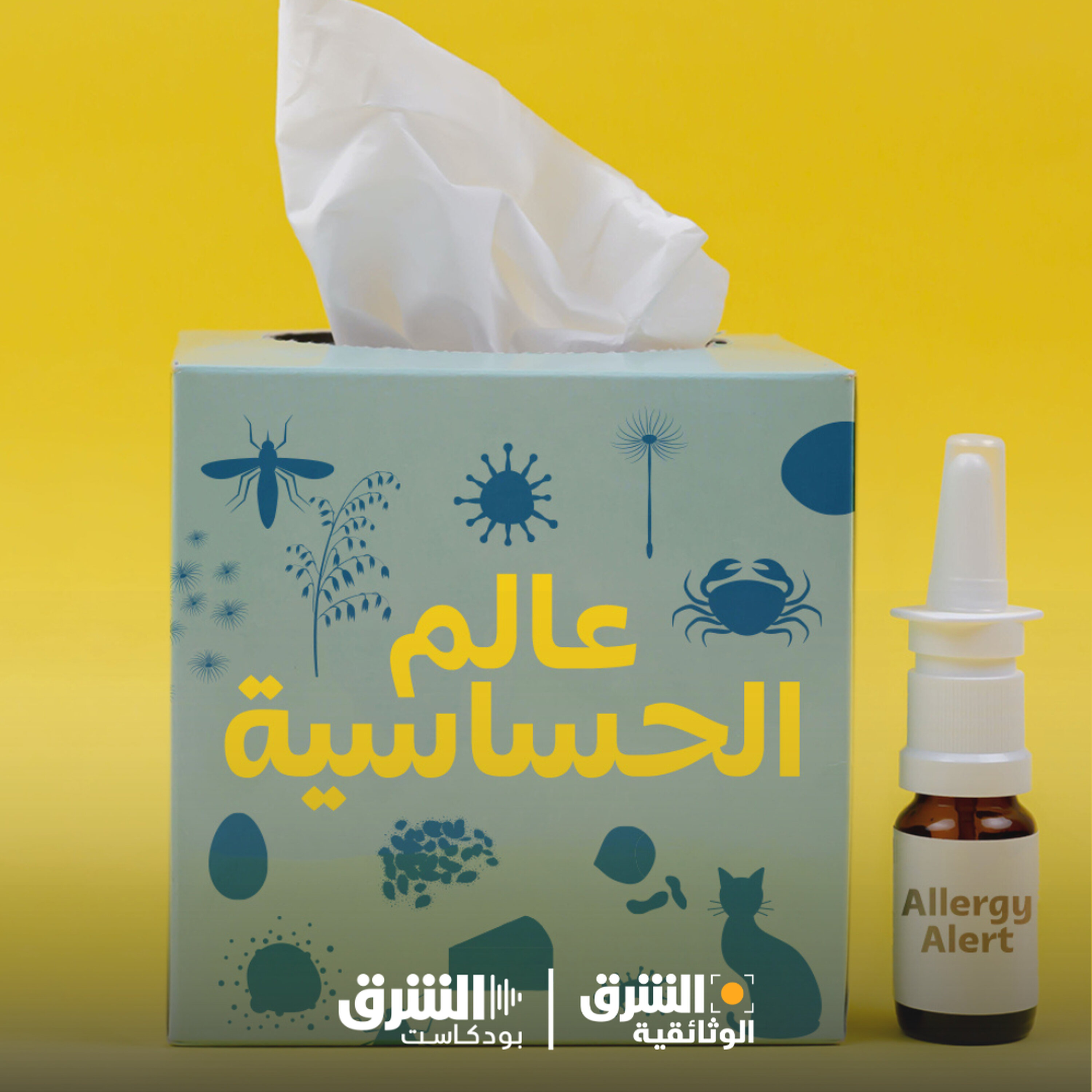 عالم الحساسية (إعادة)