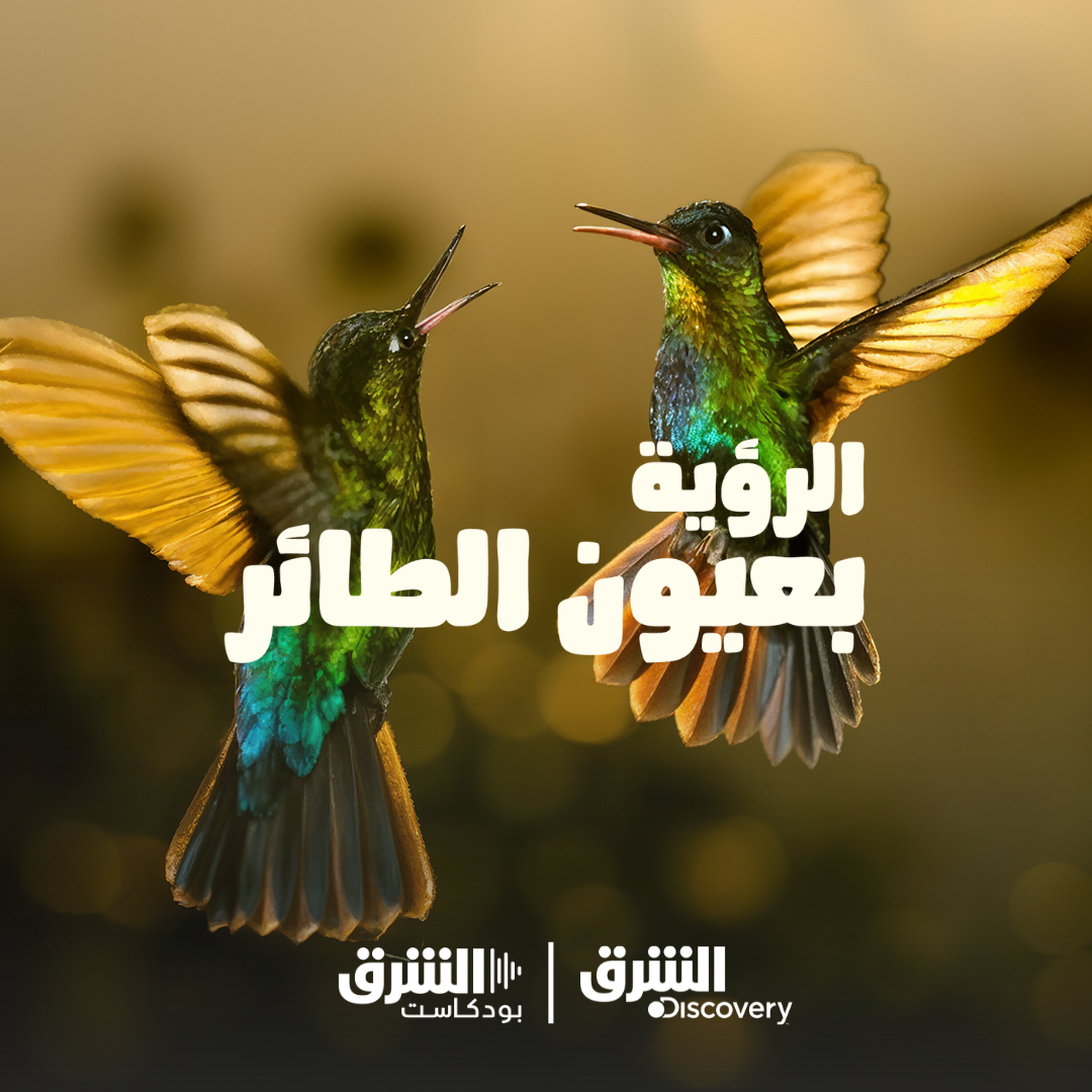 الرؤية بعيون الطائر | حراس السماء episode artwork