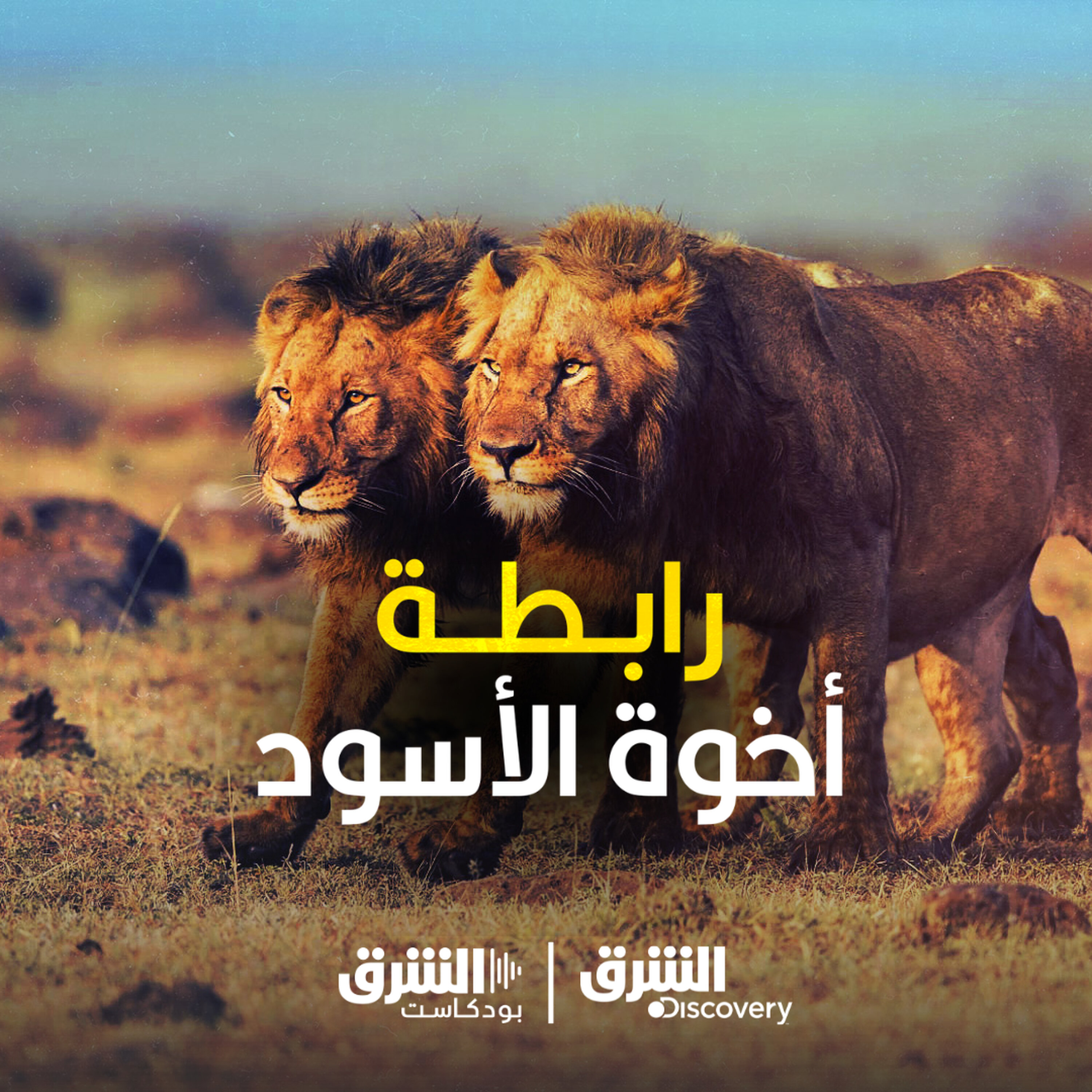Artwork for وثائقيات حياة البرية والطبيعة