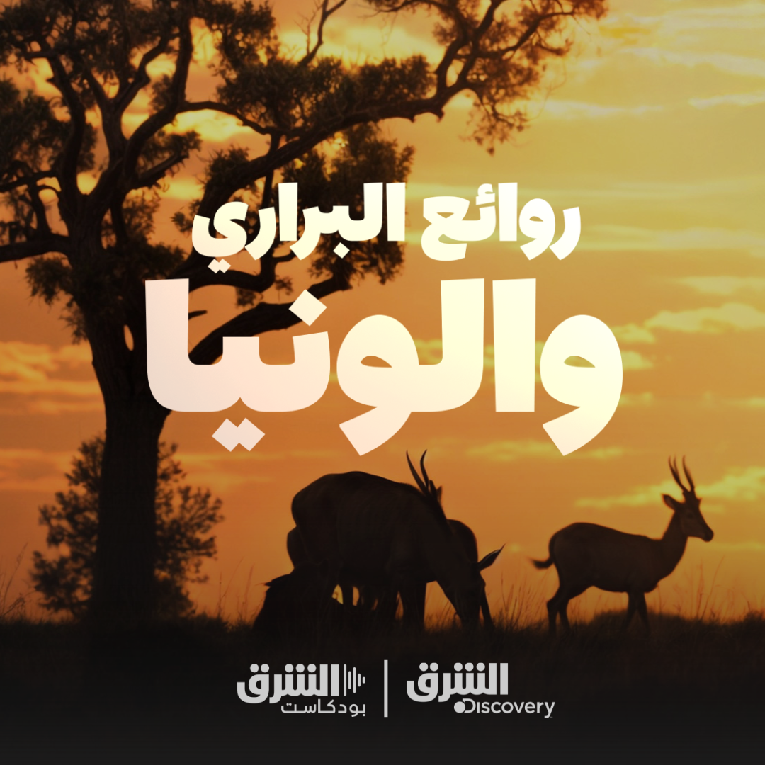 روائع البراري.. والونيا