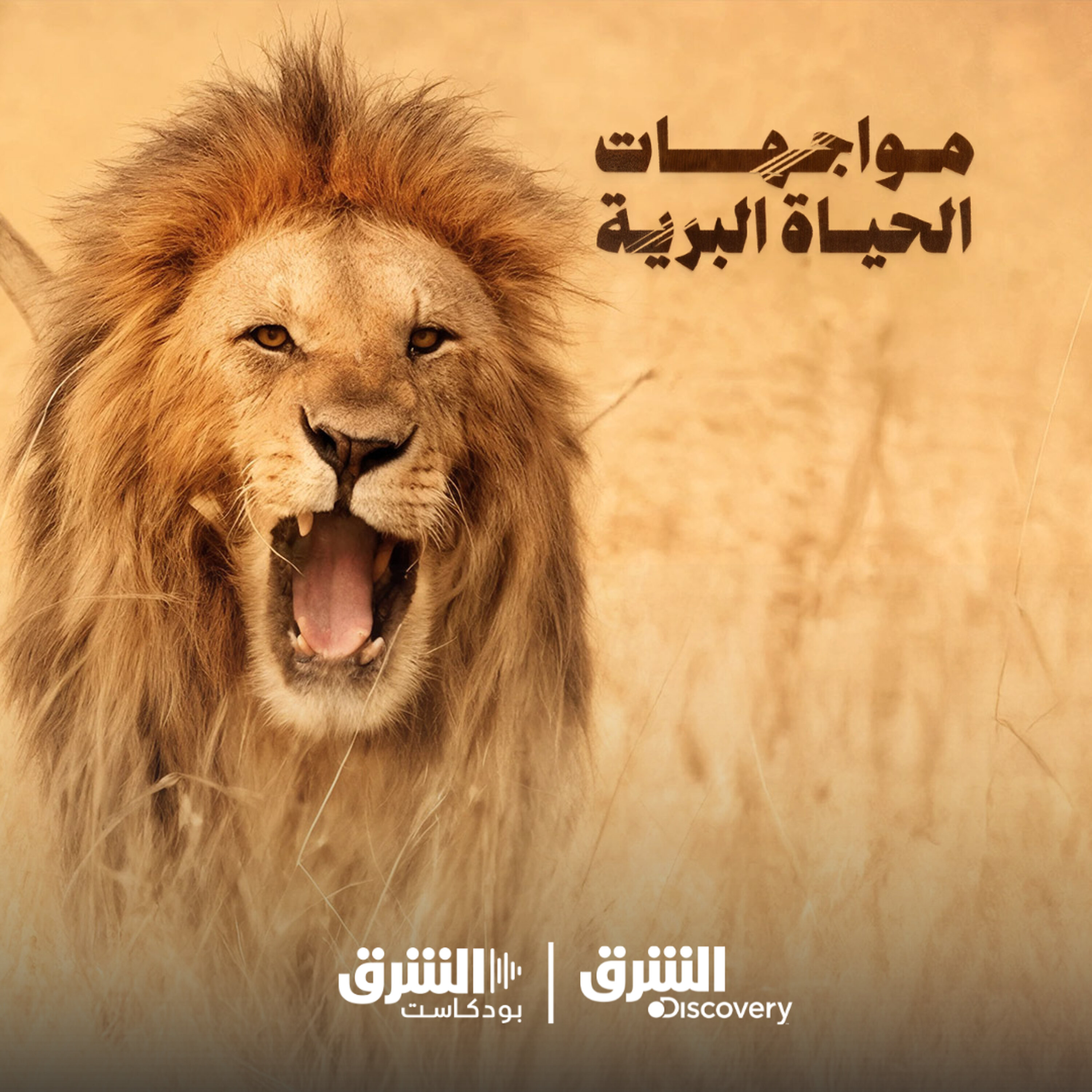مواجهات الحياة البرية | براري متوحشة episode artwork