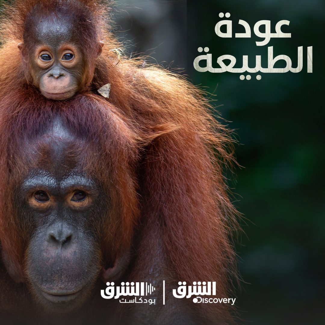 عودة الطبيعة