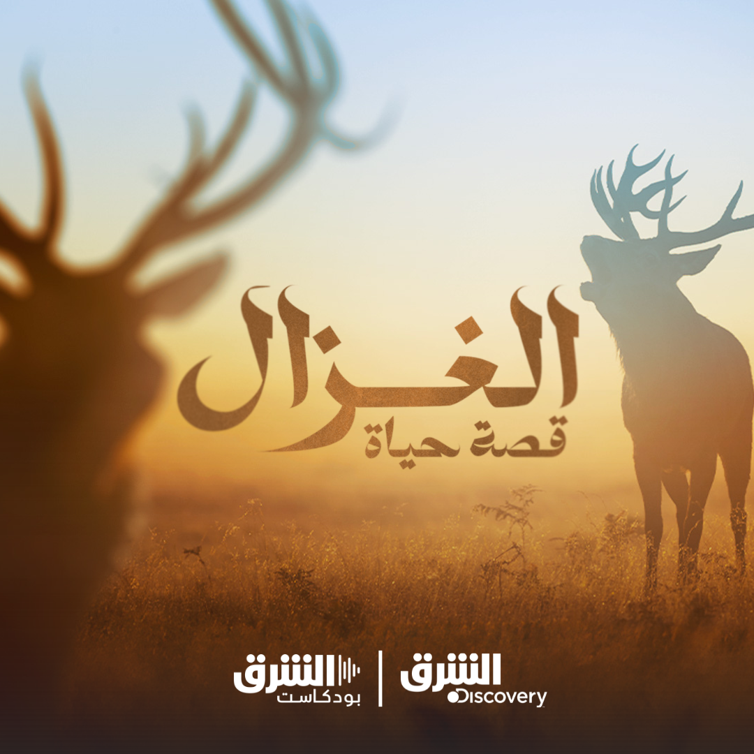 الغزال.. قصة حياة