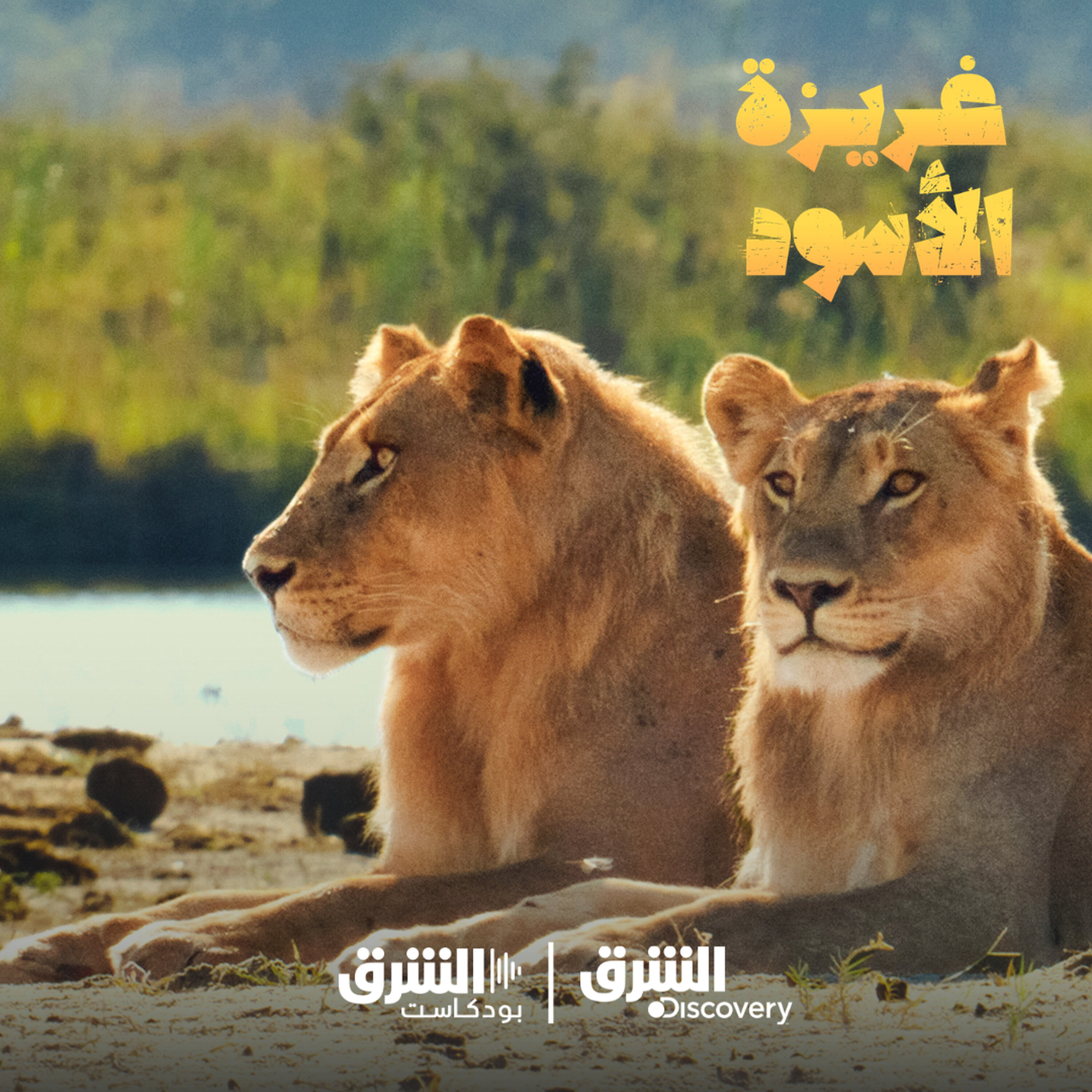 غريزة الأسود | اختبار البقاء episode artwork