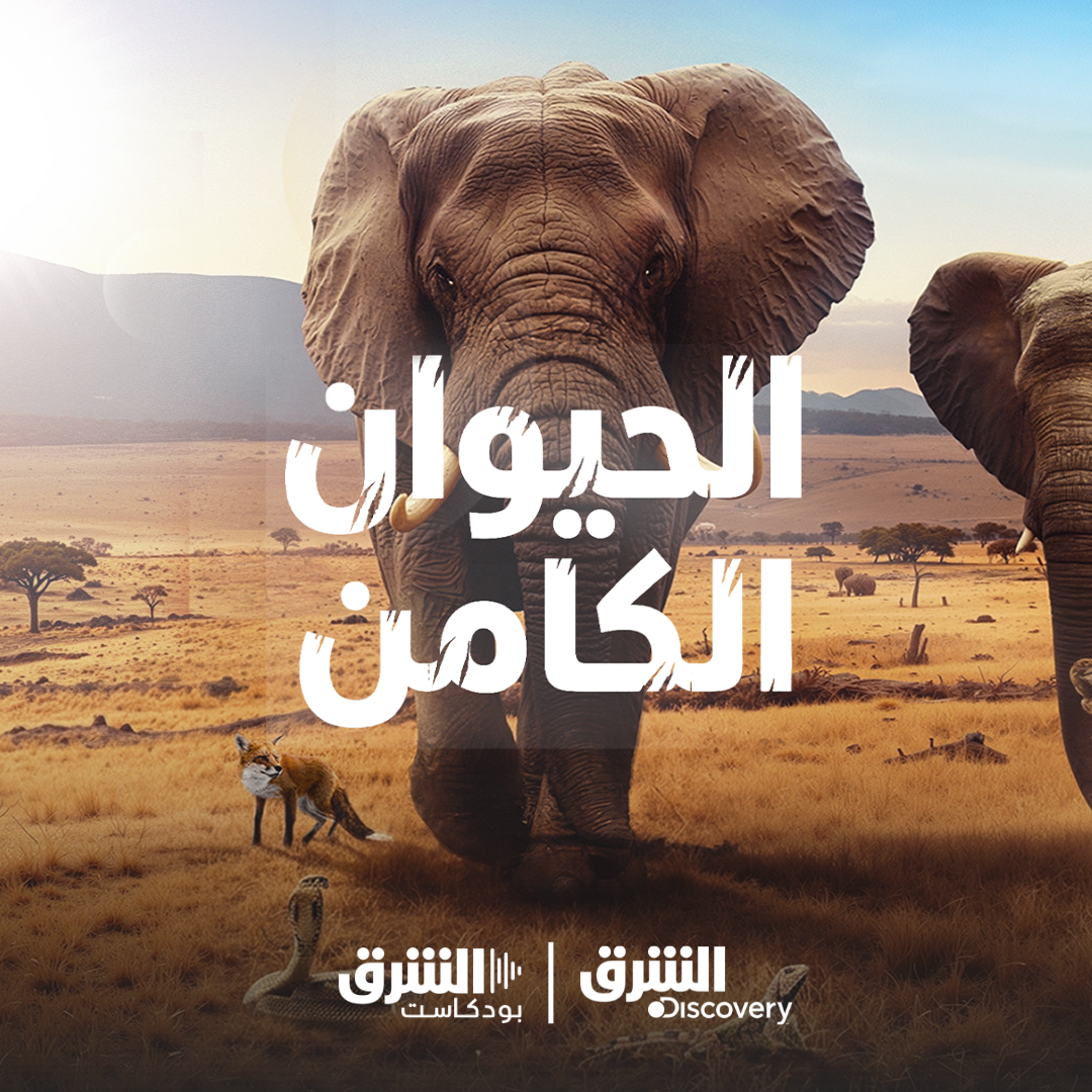 الحيوان الكامن | قدرات تفوق التوقعات