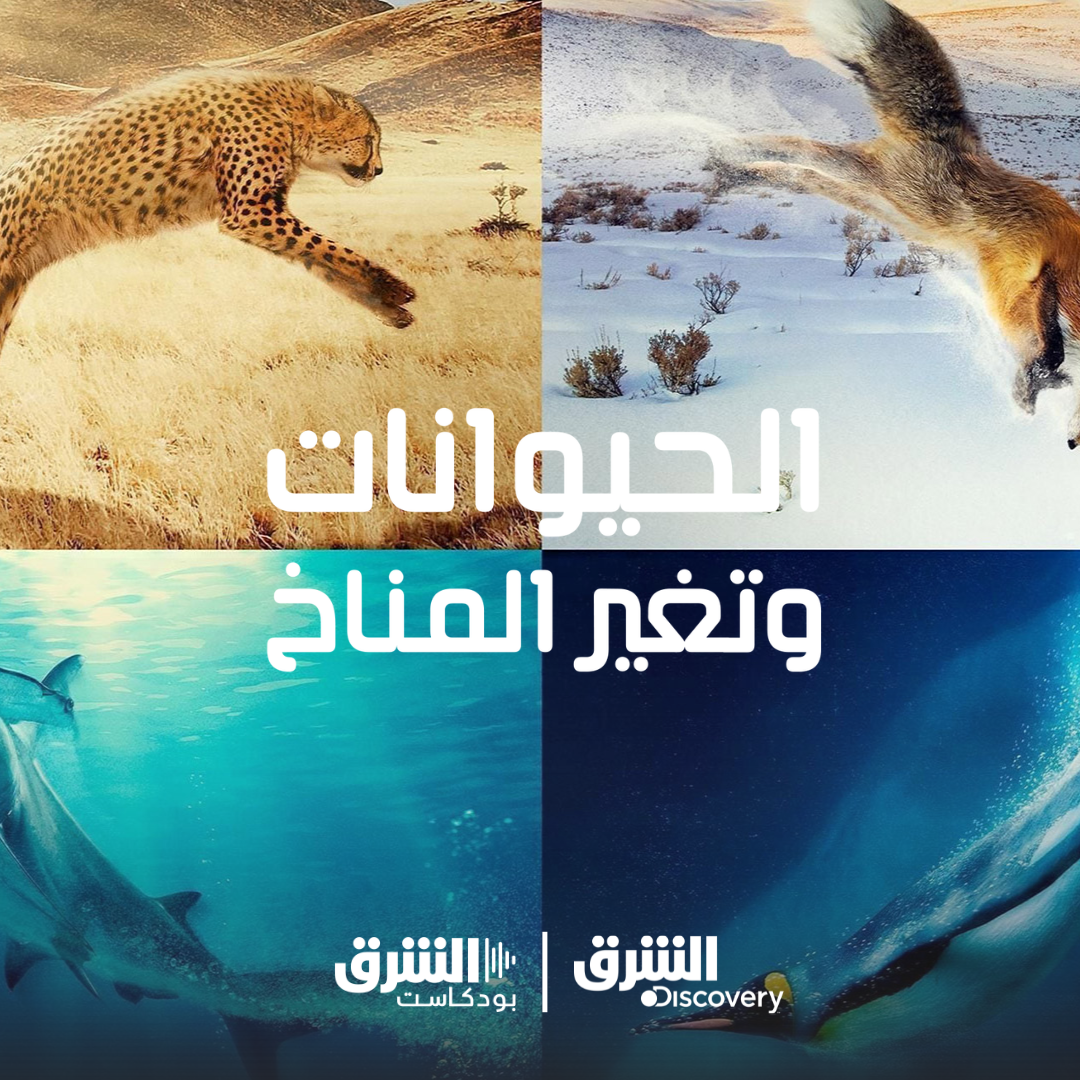 الحيوانات وتغير المناخ