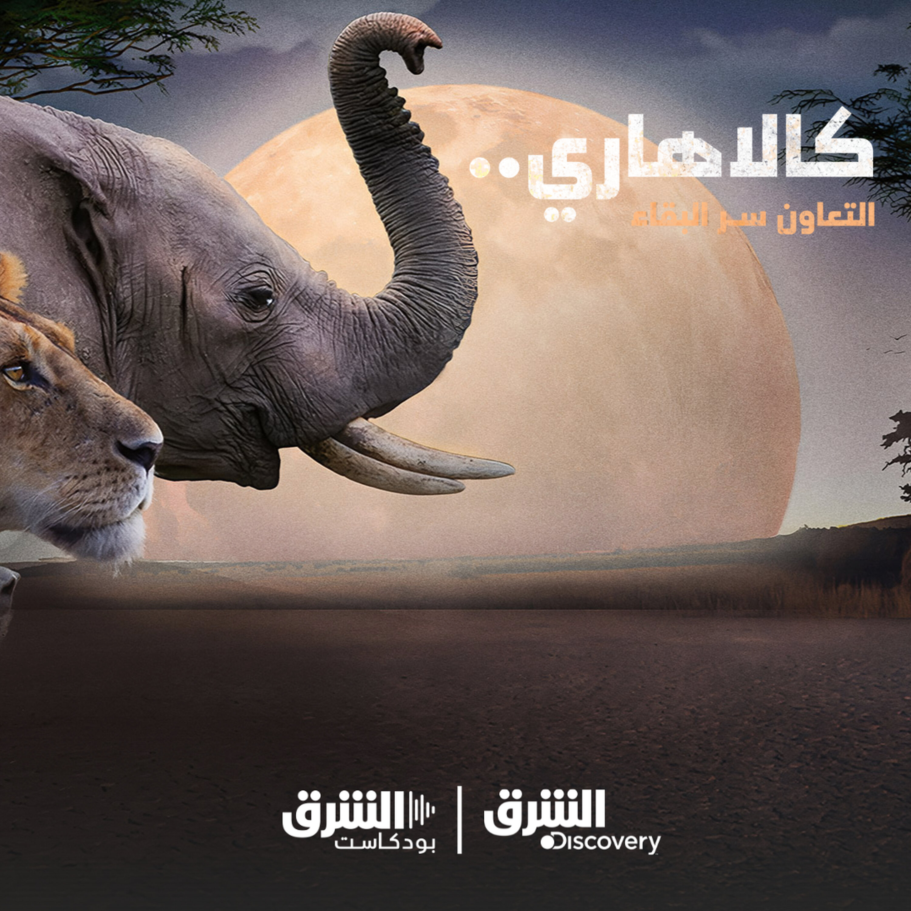 كالاهاري | دروسٌ للتعاون والنجاة episode artwork
