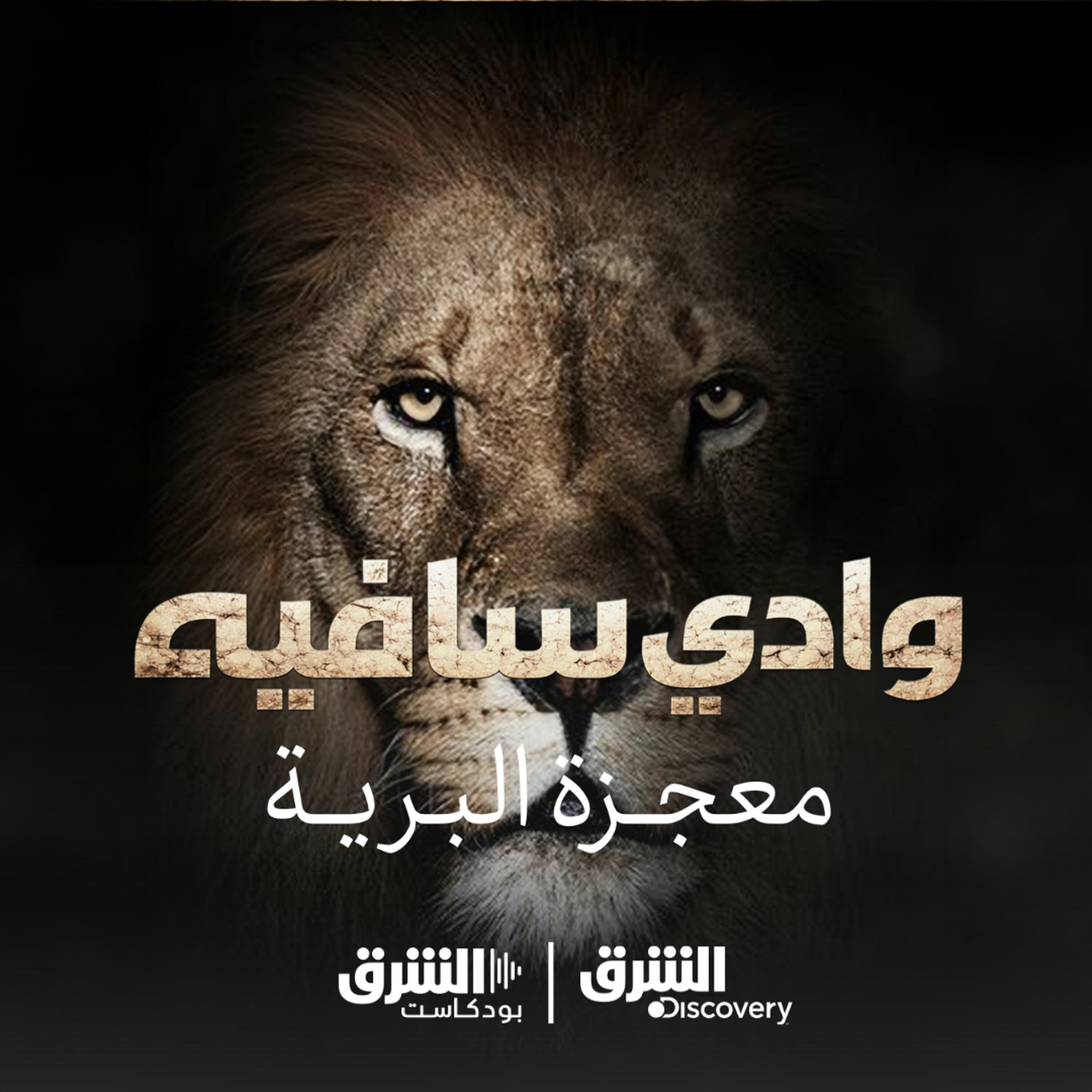 وادي سافيه.. معجزة البرية episode artwork