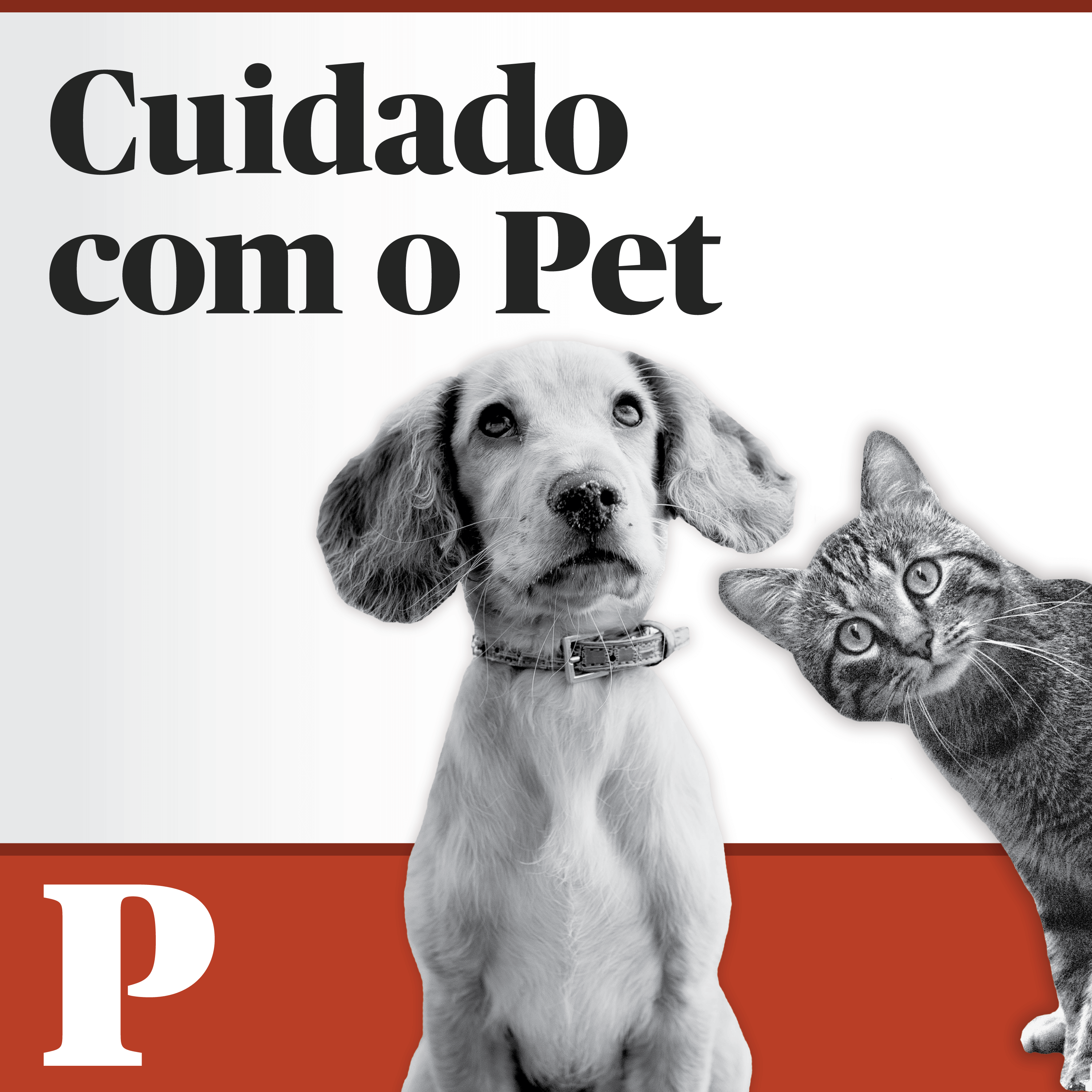 Cuidado com o Pet. Os cães sentem quando vamos de férias?