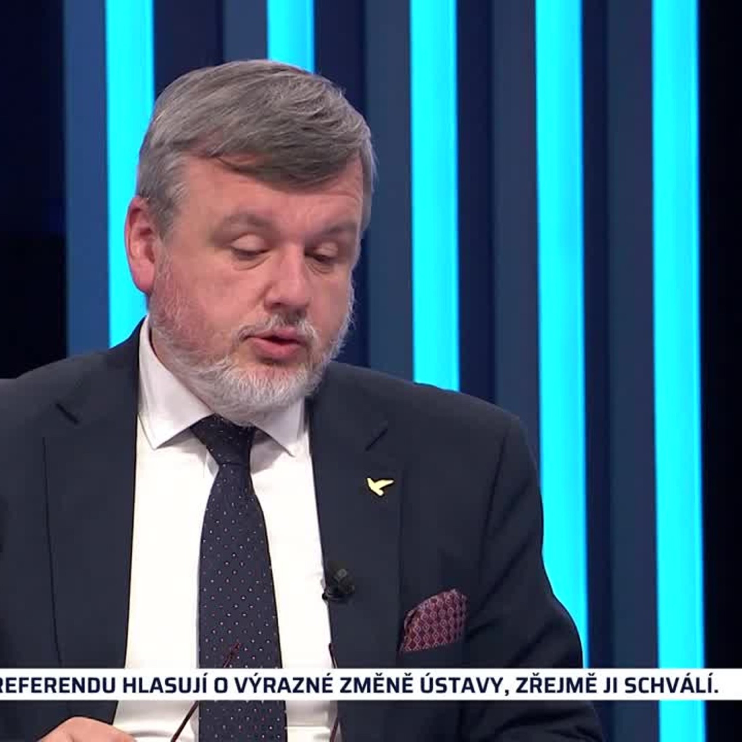 PARTIE TEREZIE TOMÁNKOVÉ