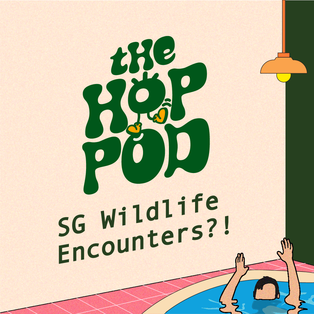 Ep 77: Singapore's Crazy Neighbourhood WILDLIFE Stories?! (ft. NParks' Choon Beng) | The Hop Pod