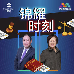 第四系列《锦耀时刻》第十集 - Part 2:逃避国民服役的案件