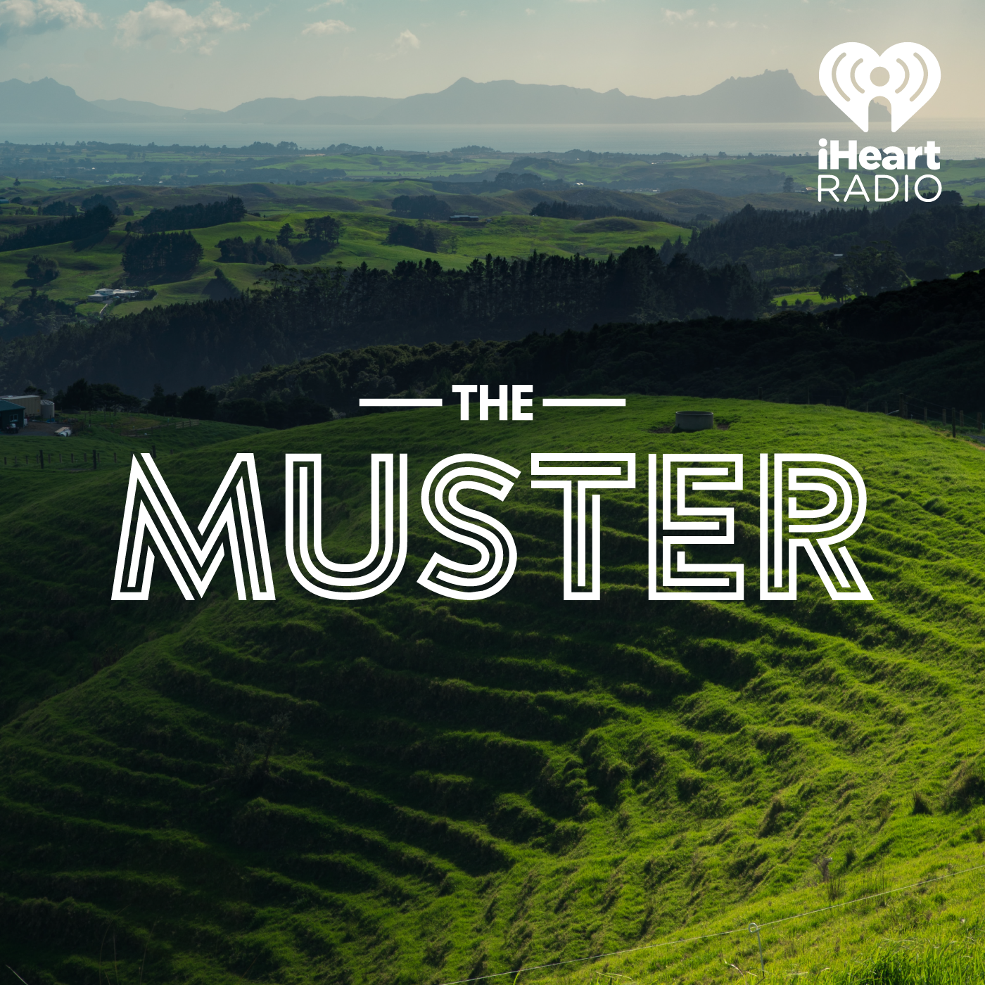 The Muster- Gill Naylor: RWNZ Happenings