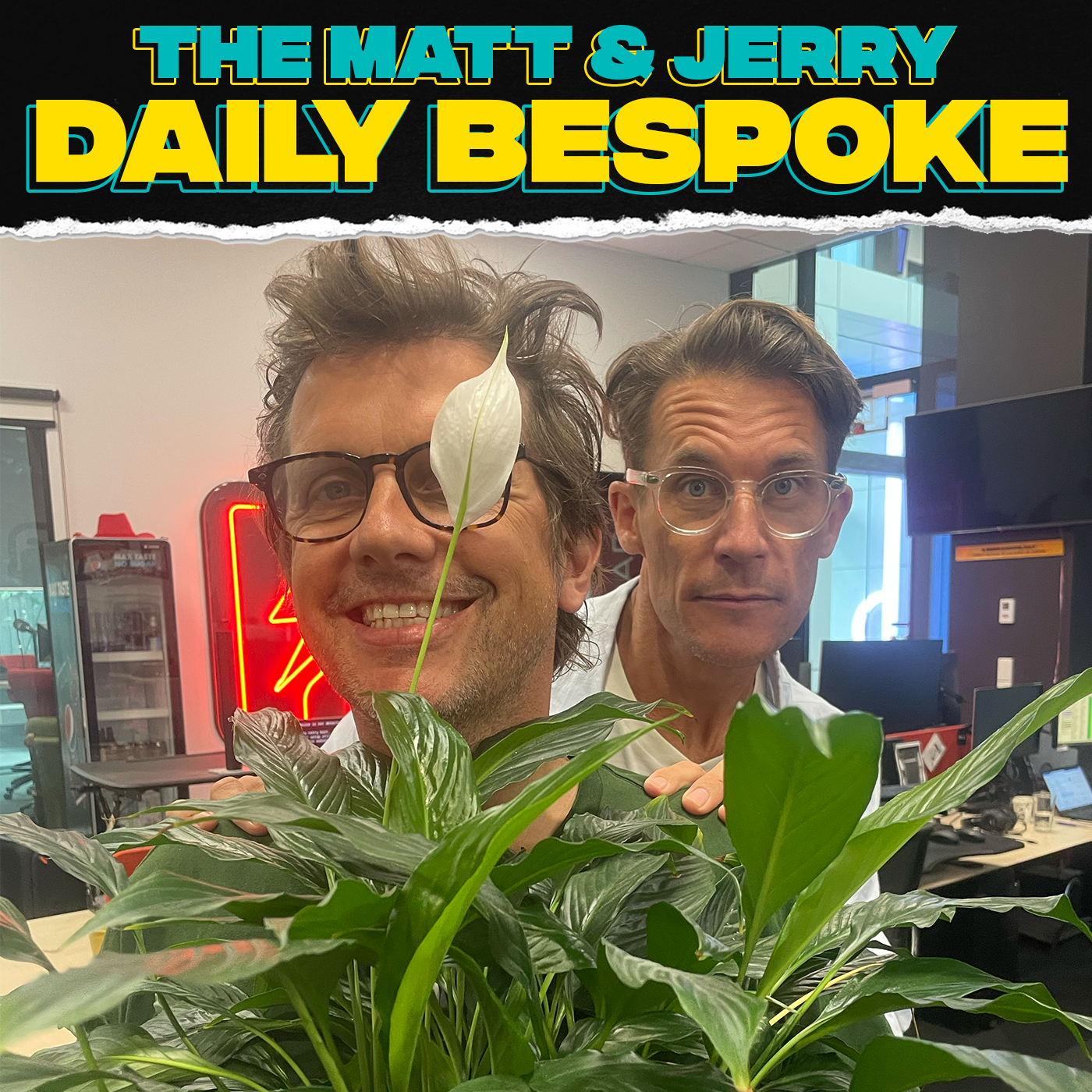 The Mushroom Theory - The Daily Bespoke November 27