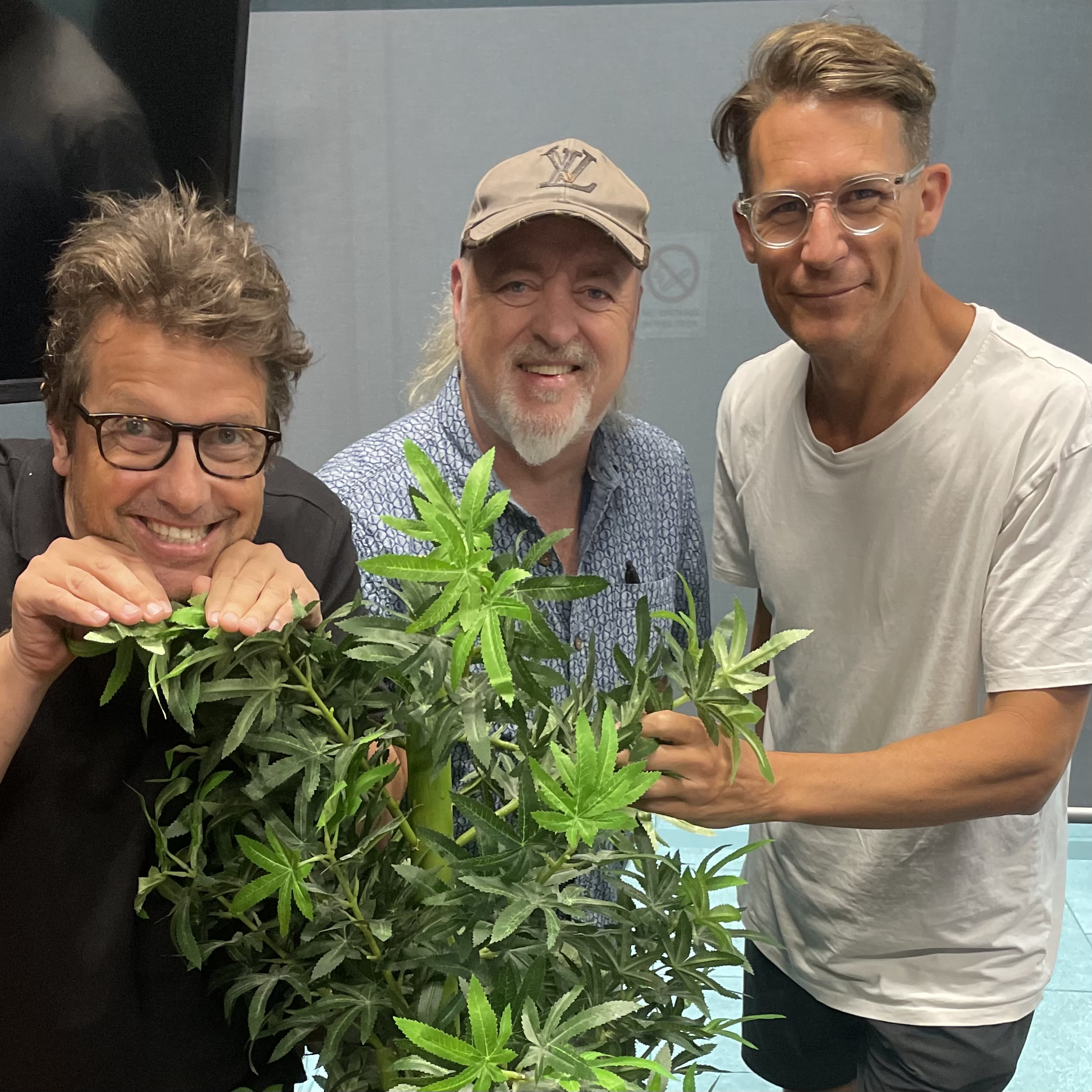 Bill Bailey - The Daily Bespoke November 1