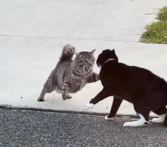 🎙️Moose & The Top 500 Albums - The Podcast