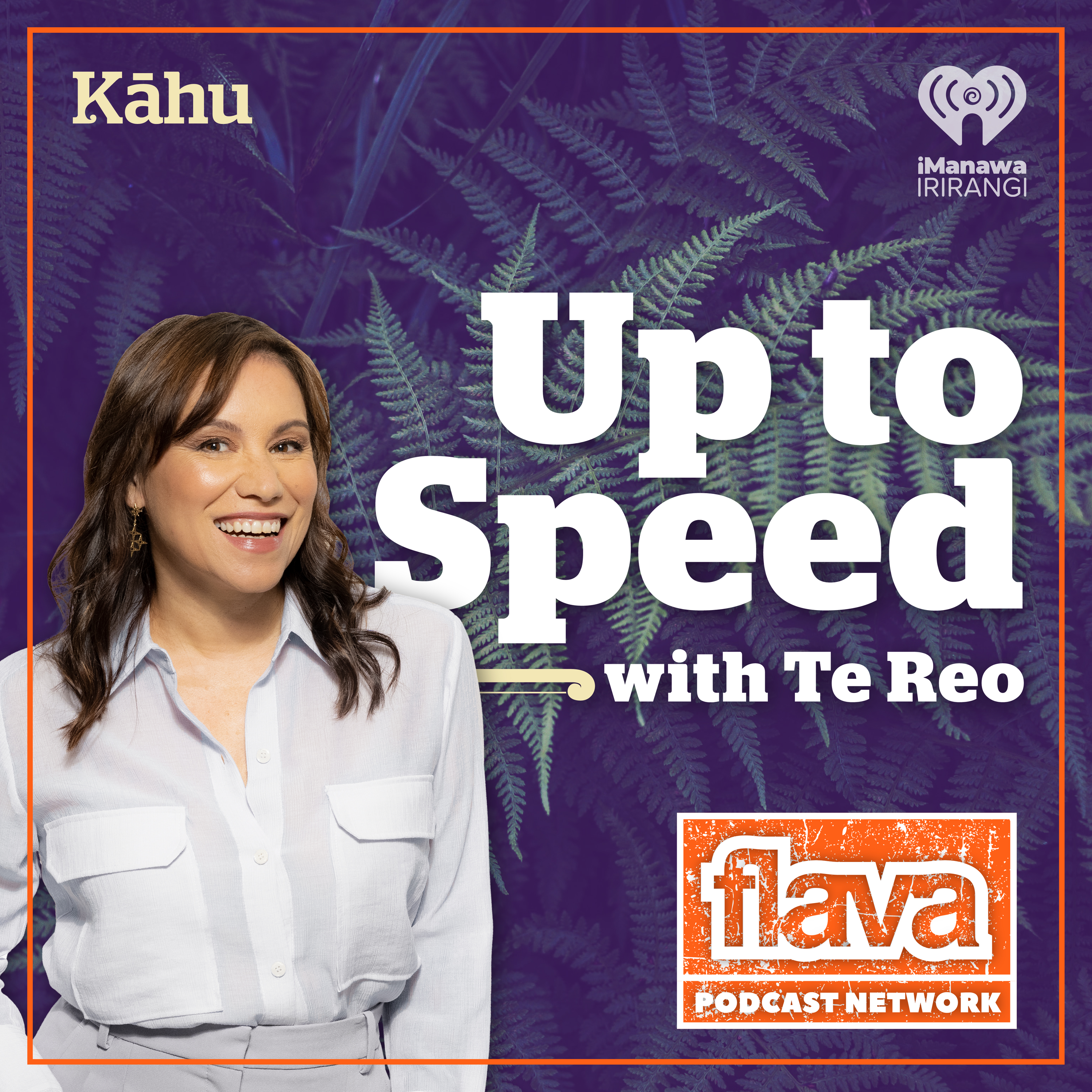Up to Speed with Māori Concepts