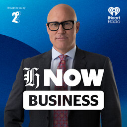 The AI tsunami and how NZ needs to ride it. Chris Liddell - Anthropic PM Herald NOW Business