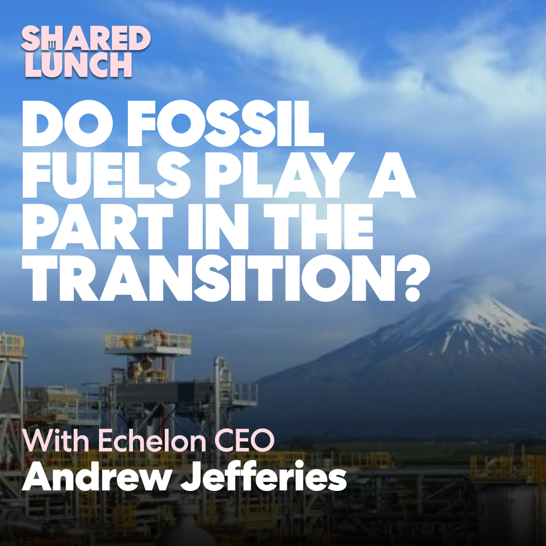 Do fossil fuels play a part in the transition? 