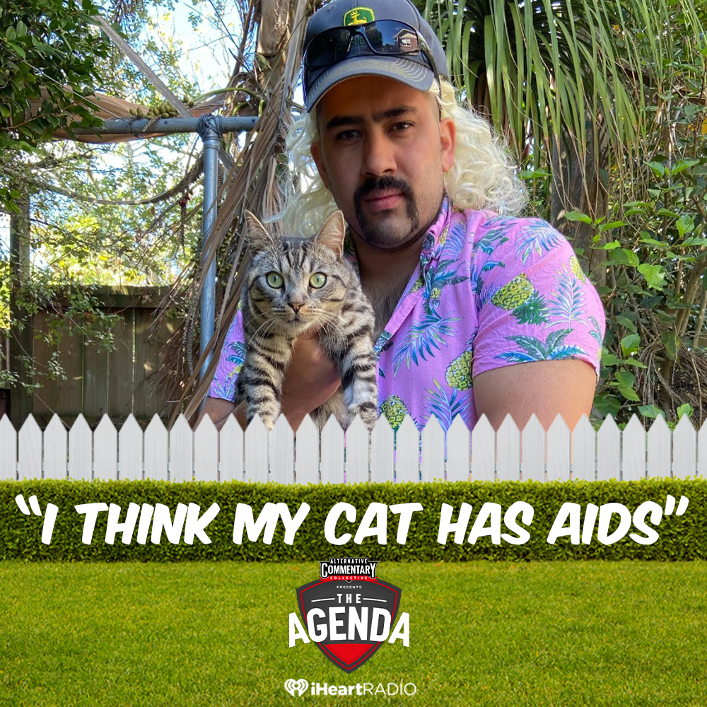 "I Think My Cat Has AIDS" episode artwork