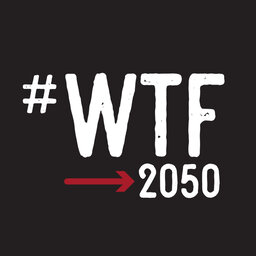 WTF2050 Episode 12 - Frank Cuypers - Destination Think