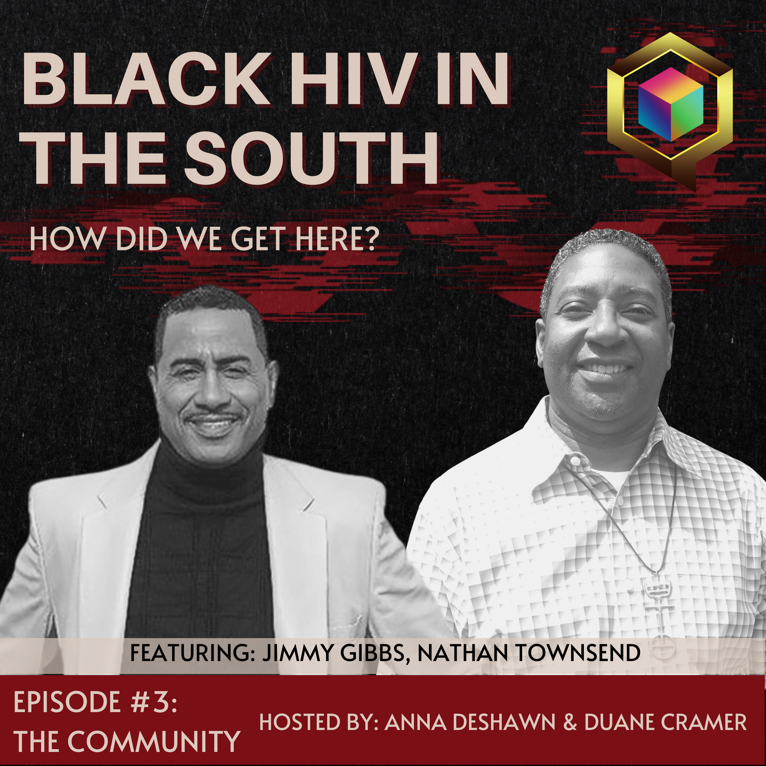 The Community of Black HIV in the South