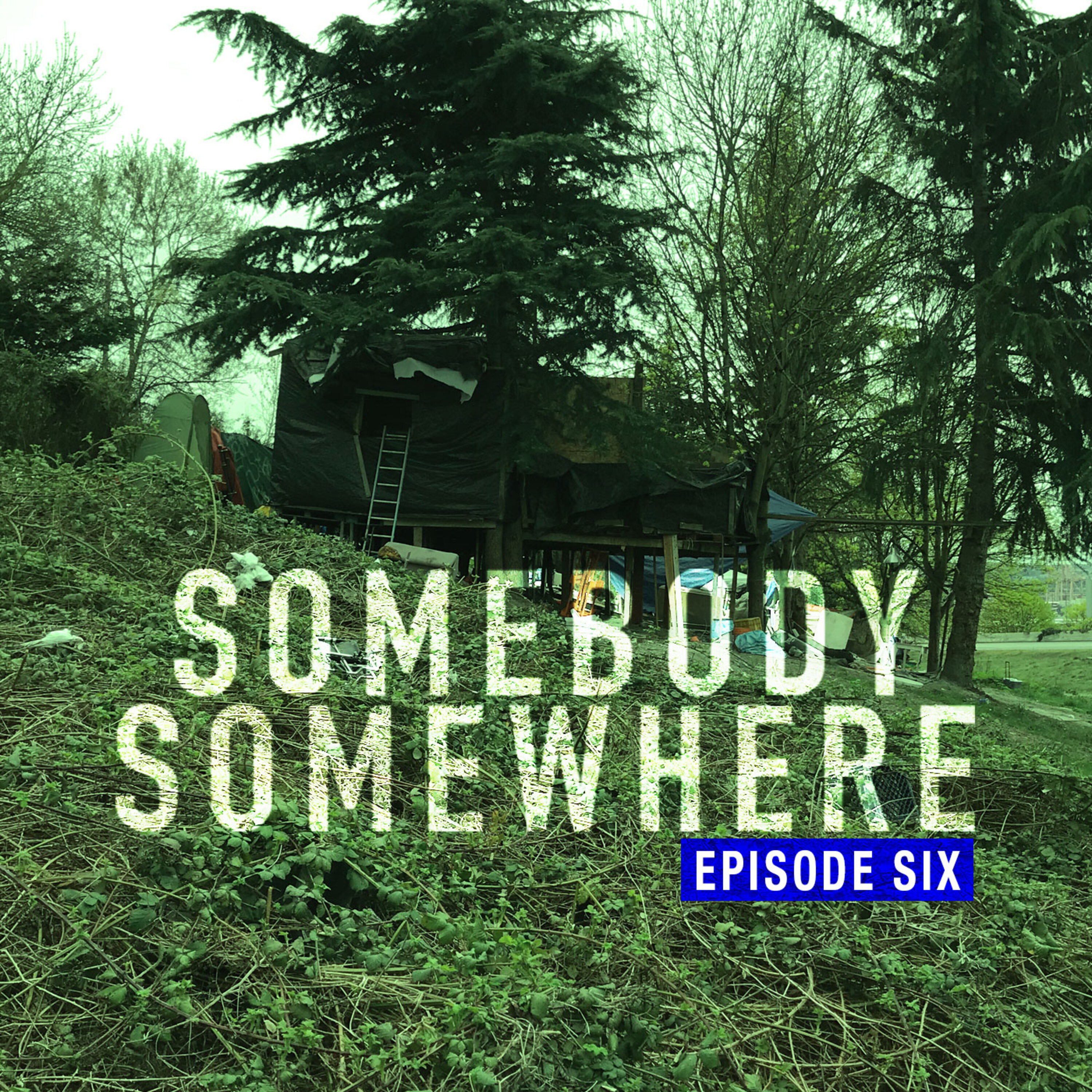 S2 Episode 6 - The New King of the Jungle