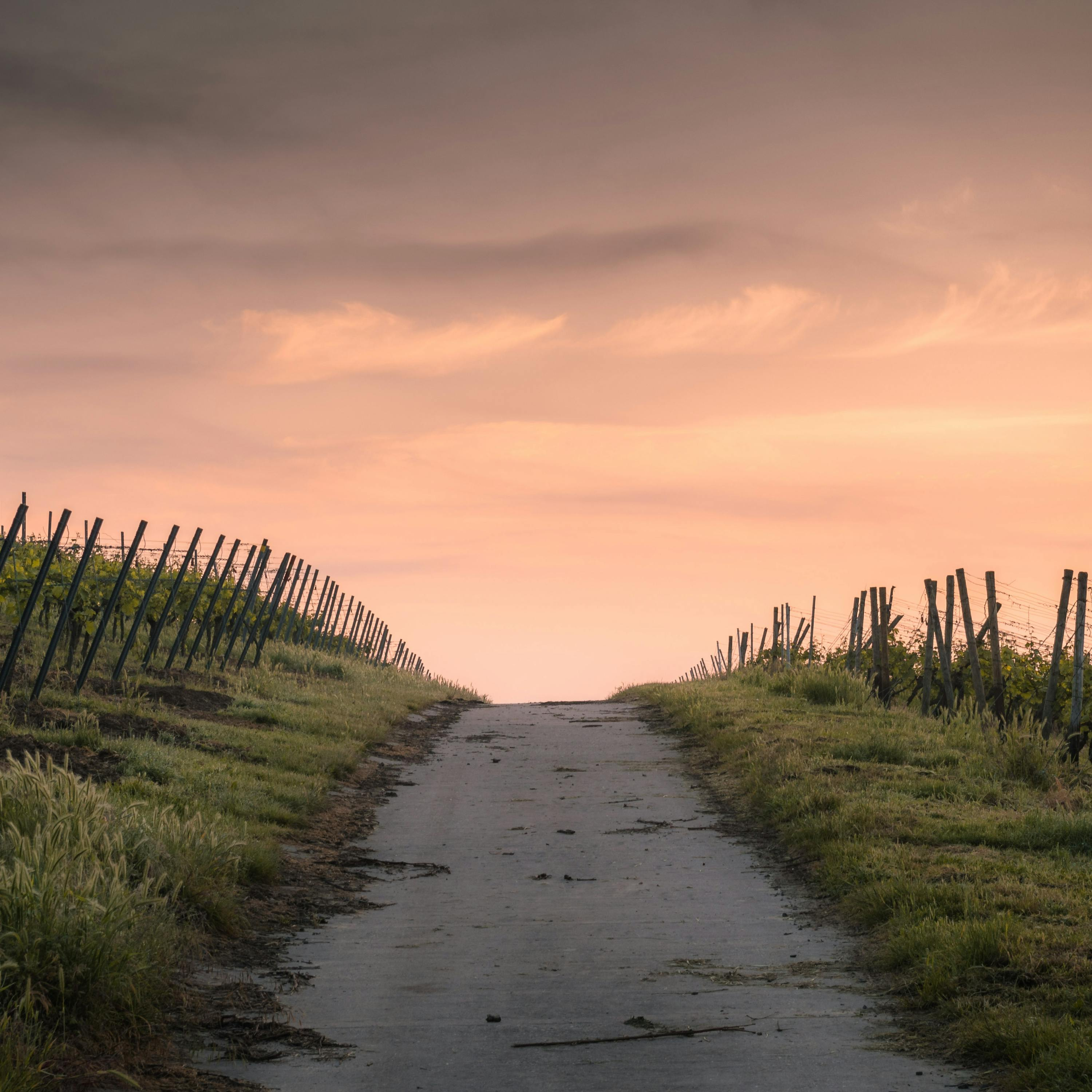 Ep. 97: Stay On Your Path